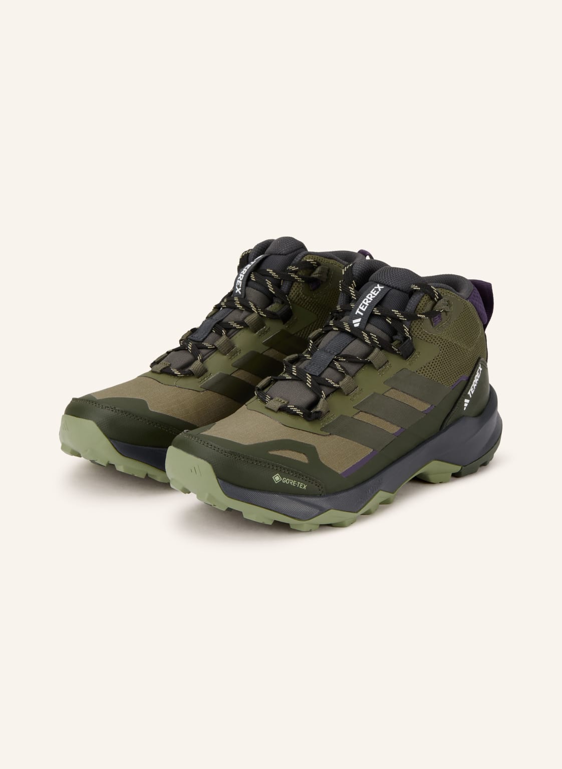 Produktový obrázek Adidas TERREX SKYCHASER AX5 MID GTX W