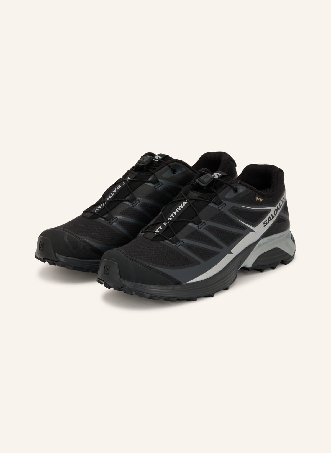 Produktový obrázek Salomon Salomon Sneakersy Xt-Pathway Gtx černá / stříbrná