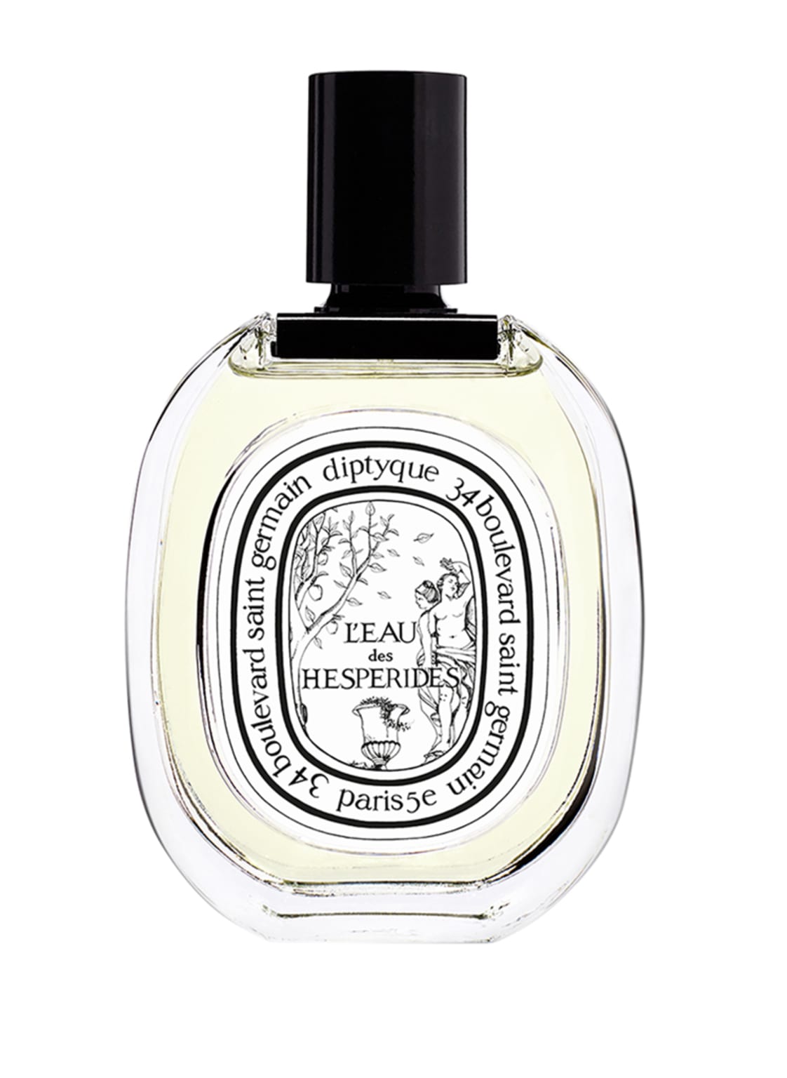 Image of Diptyque Eau Des Hesperides Eau de Toilette 100 ml