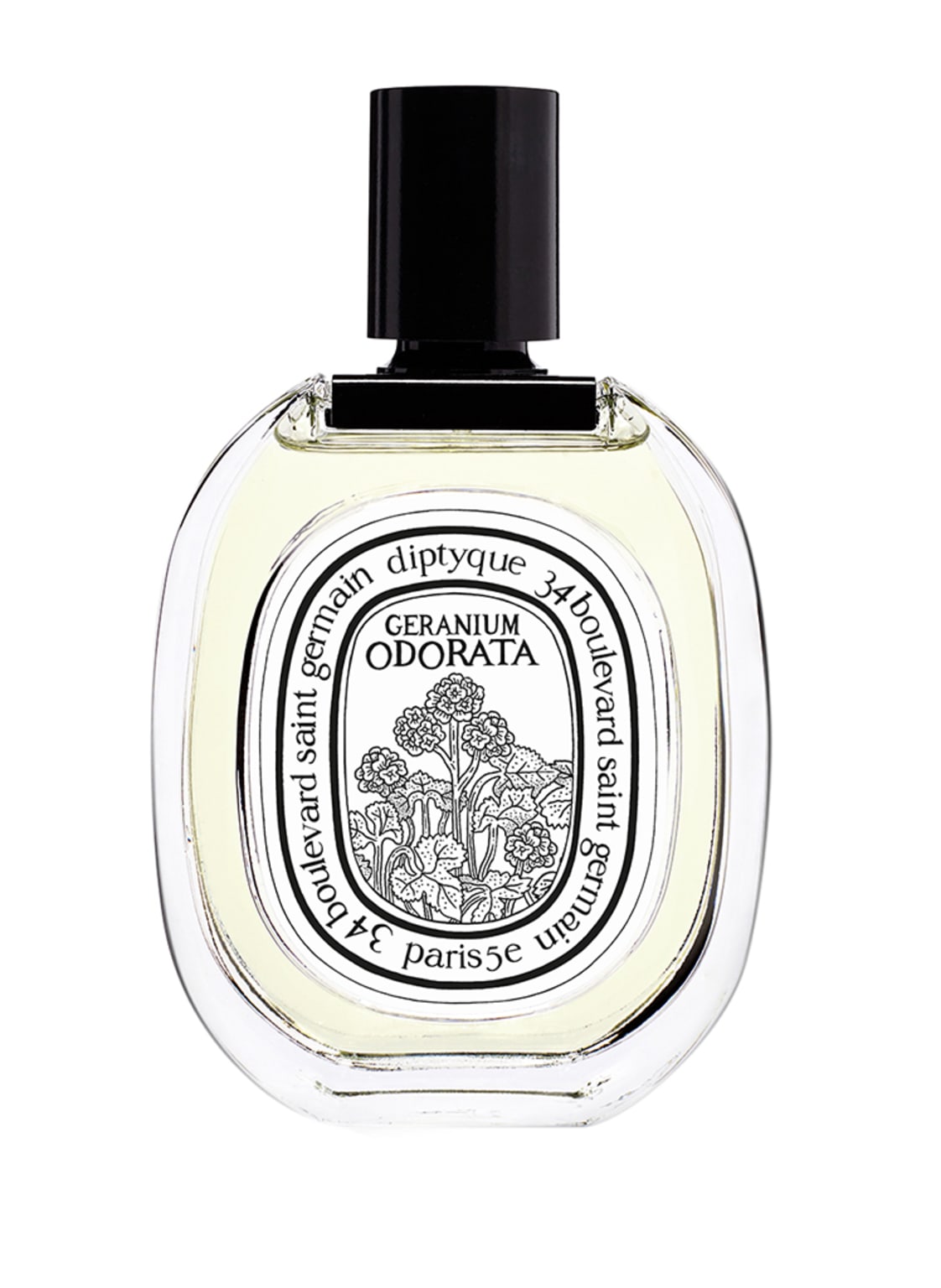 Image of Diptyque Eau Geranium Odorata Eau de Toilette 100 ml