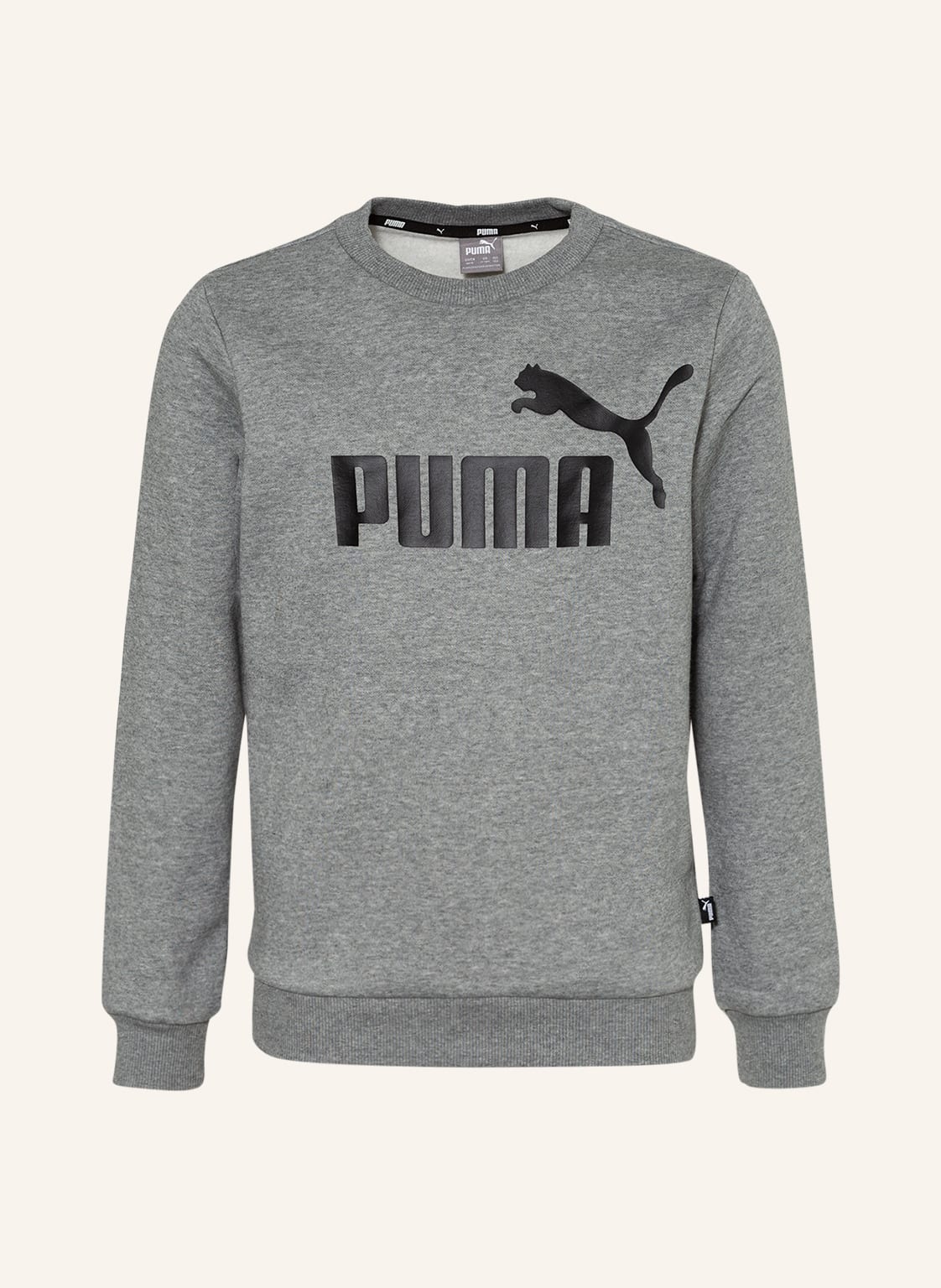 Image of Puma Sweatshirt grau
