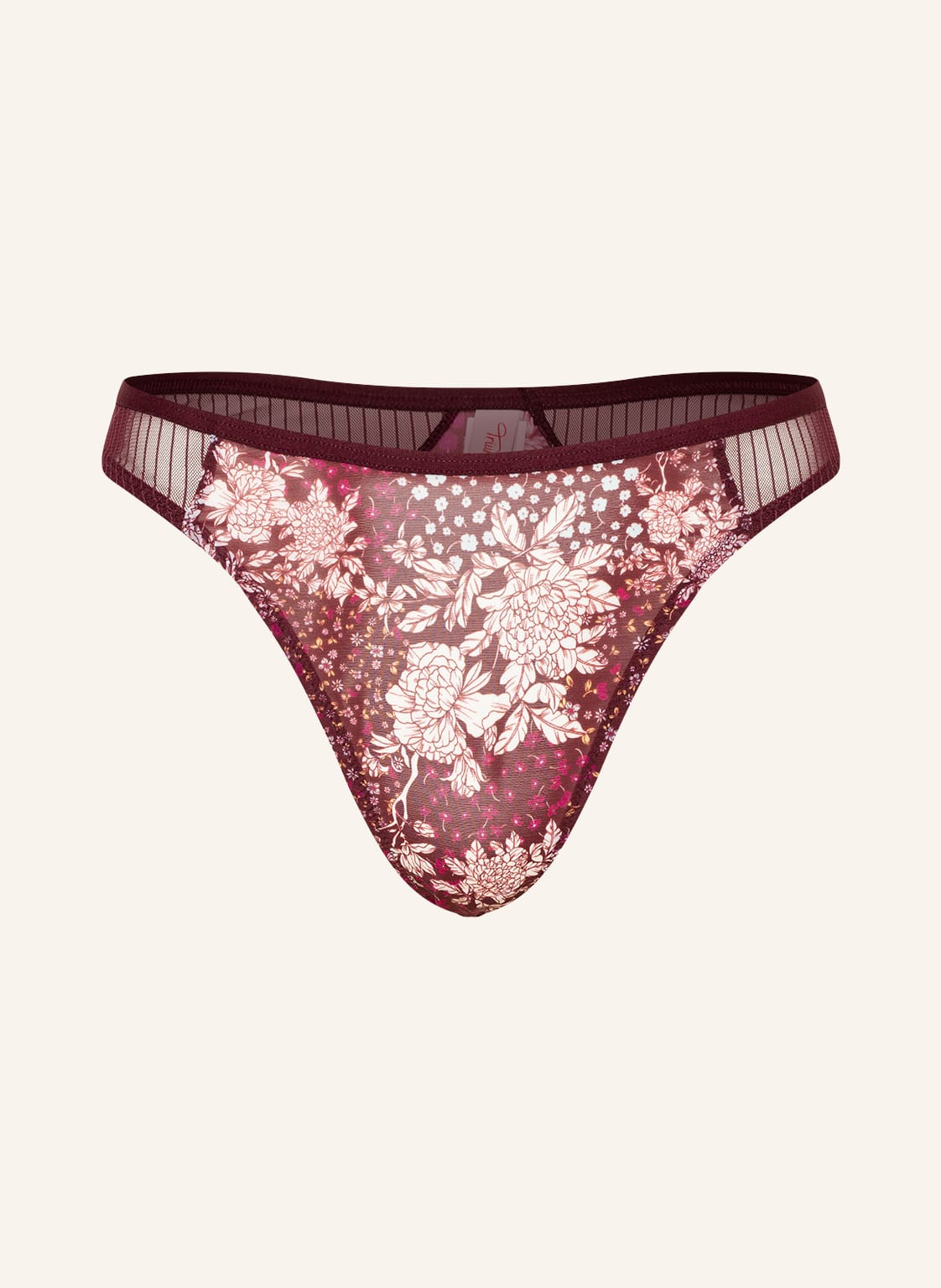 Image of Triumph String Lavish Spotlight rot