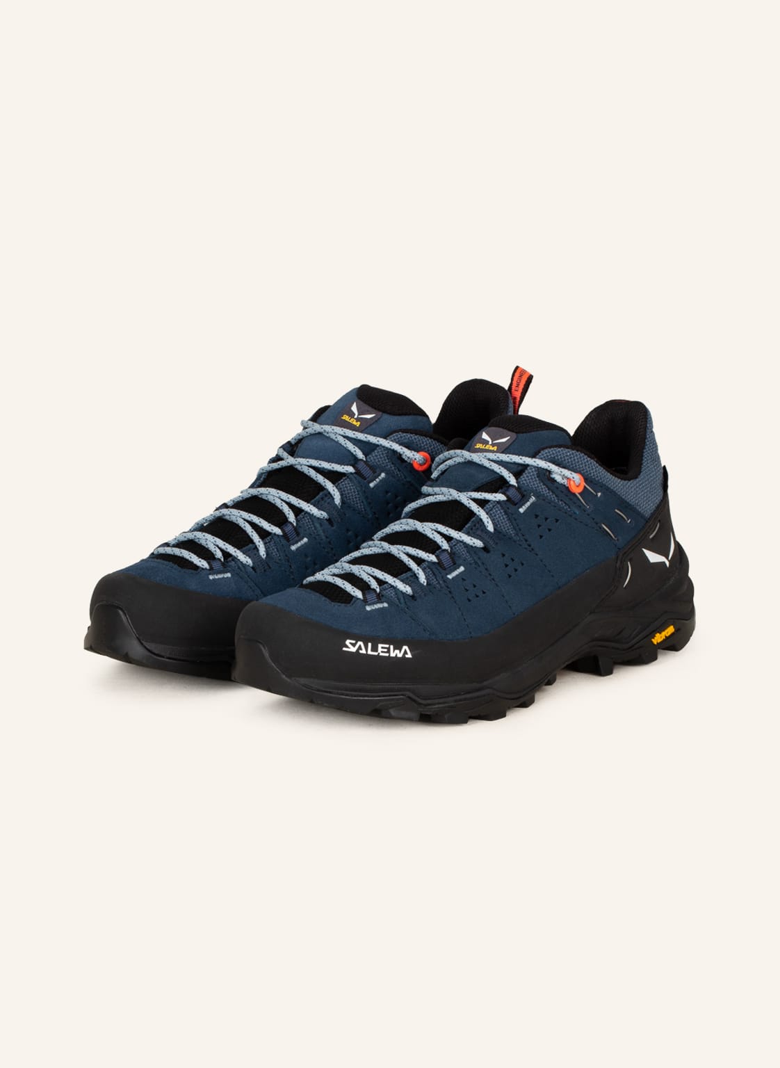 Image of Salewa Multifunktionsschuhe Alp Trainer 2 Gtx blau