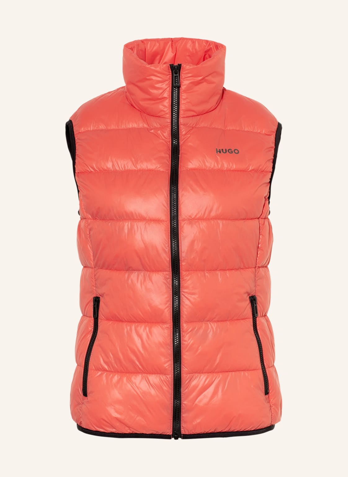 Image of Hugo Steppweste Fandicia rot