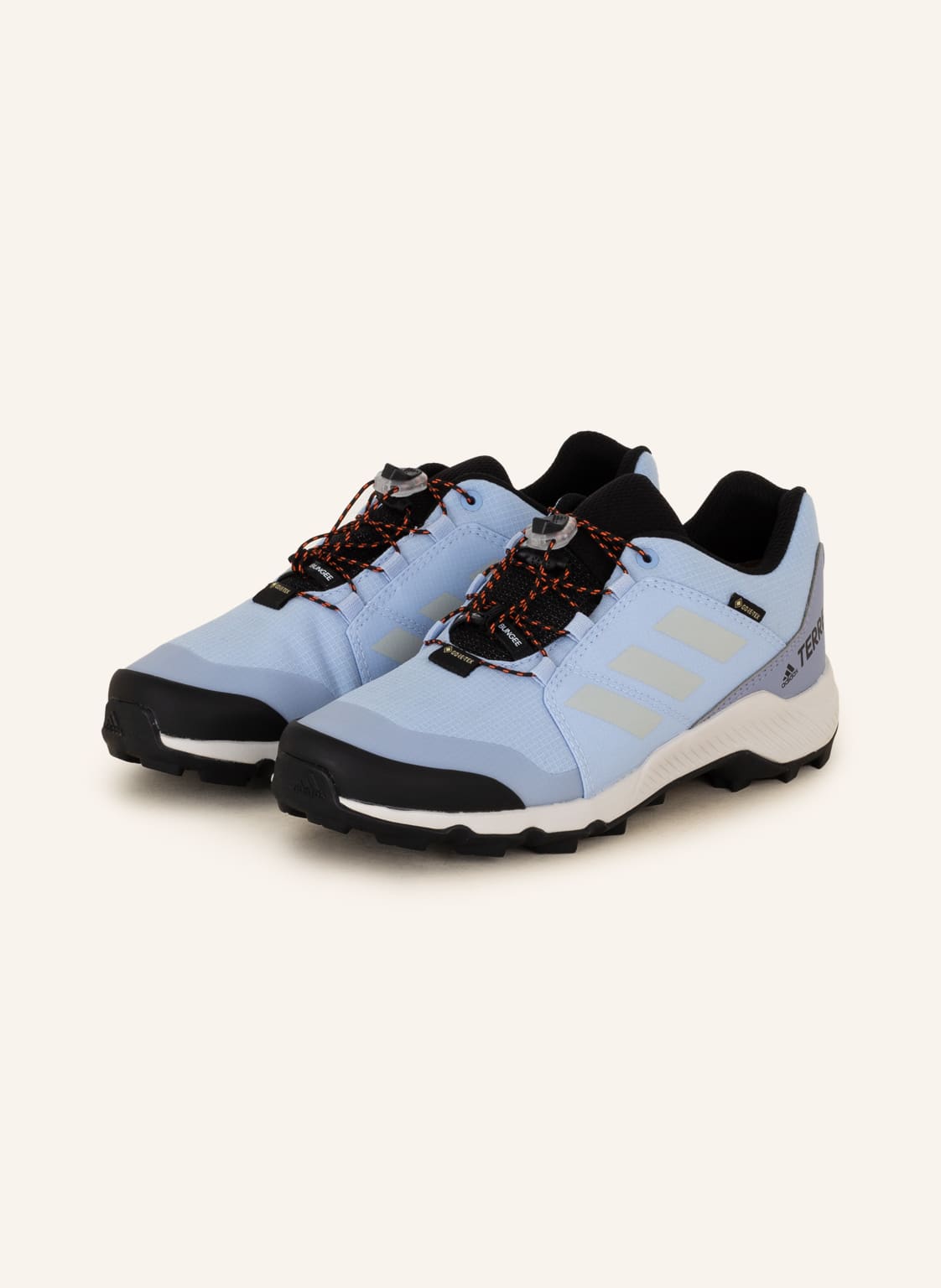 Image of Adidas Multifunktionsschuh Terrex Gtx blau