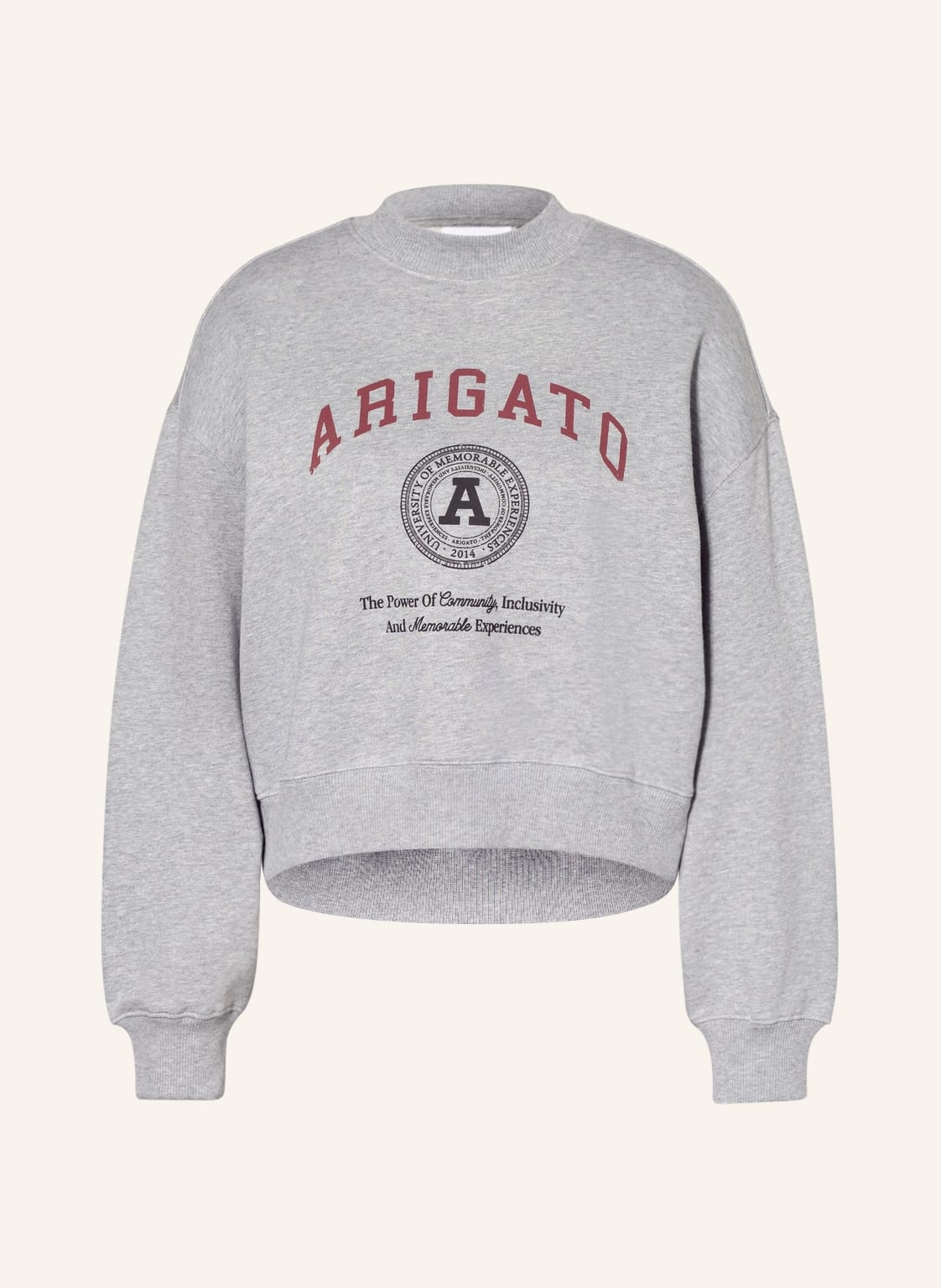 Image of Axel Arigato Sweatshirt grau