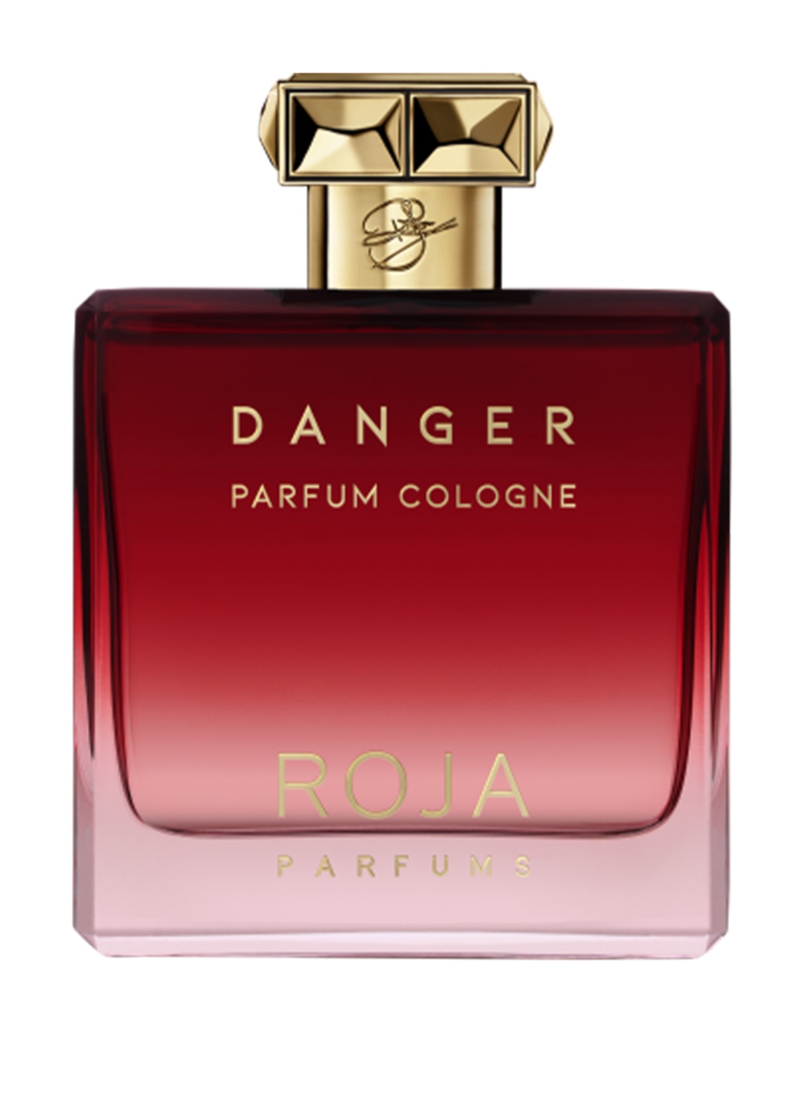 Image of Roja Parfums Danger Eau de Parfum 100 ml