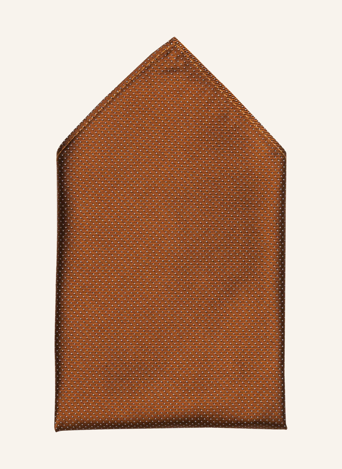 Image of Paul Einstecktuch braun