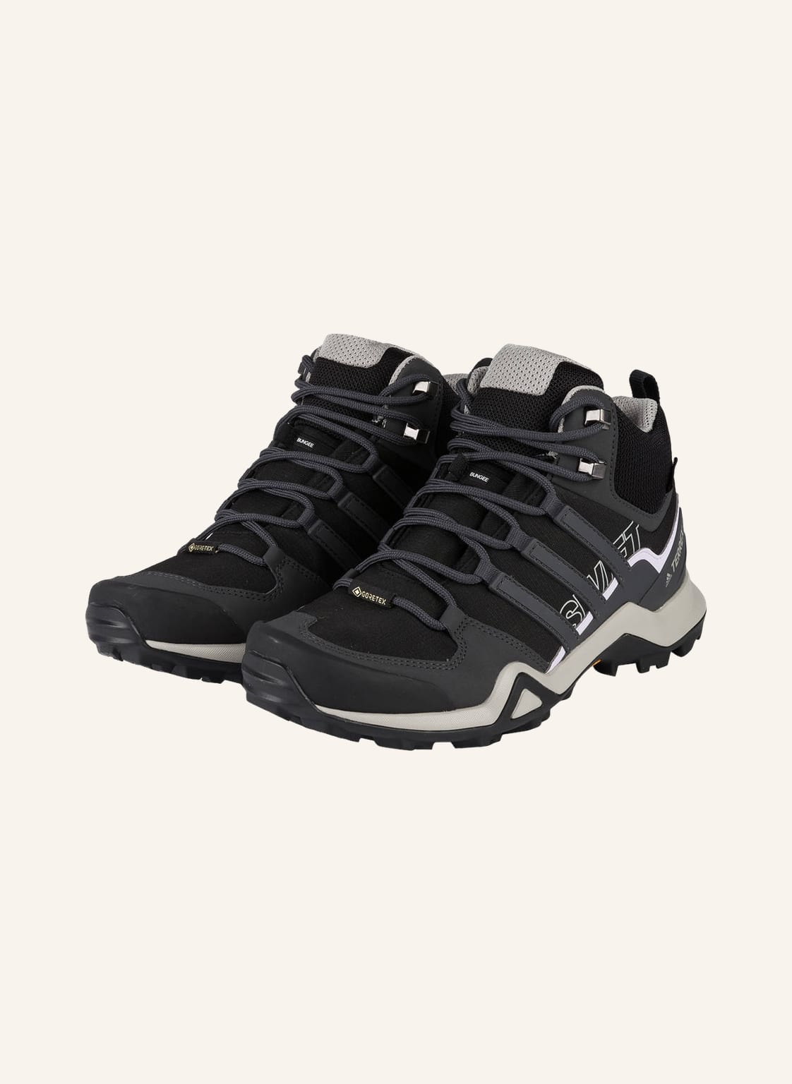 Image of Adidas Multifunktionsschuhe Terrex Swift r2 Mid Gtx schwarz