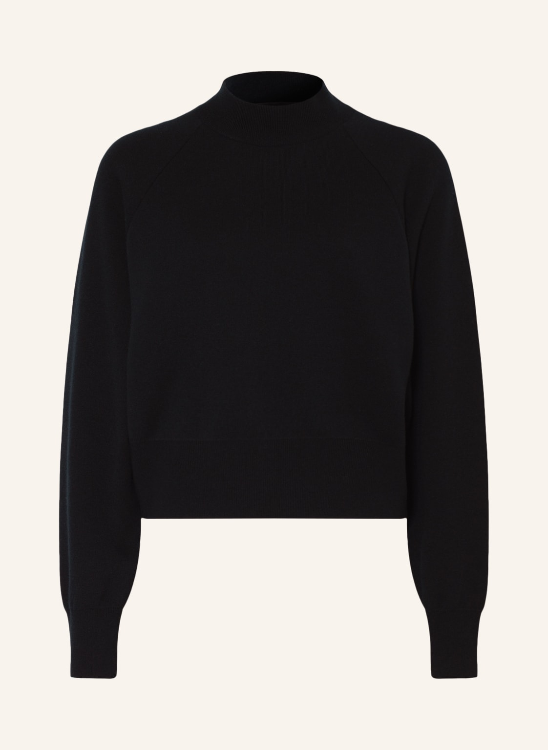 Image of Canada Goose Pullover Holton schwarz