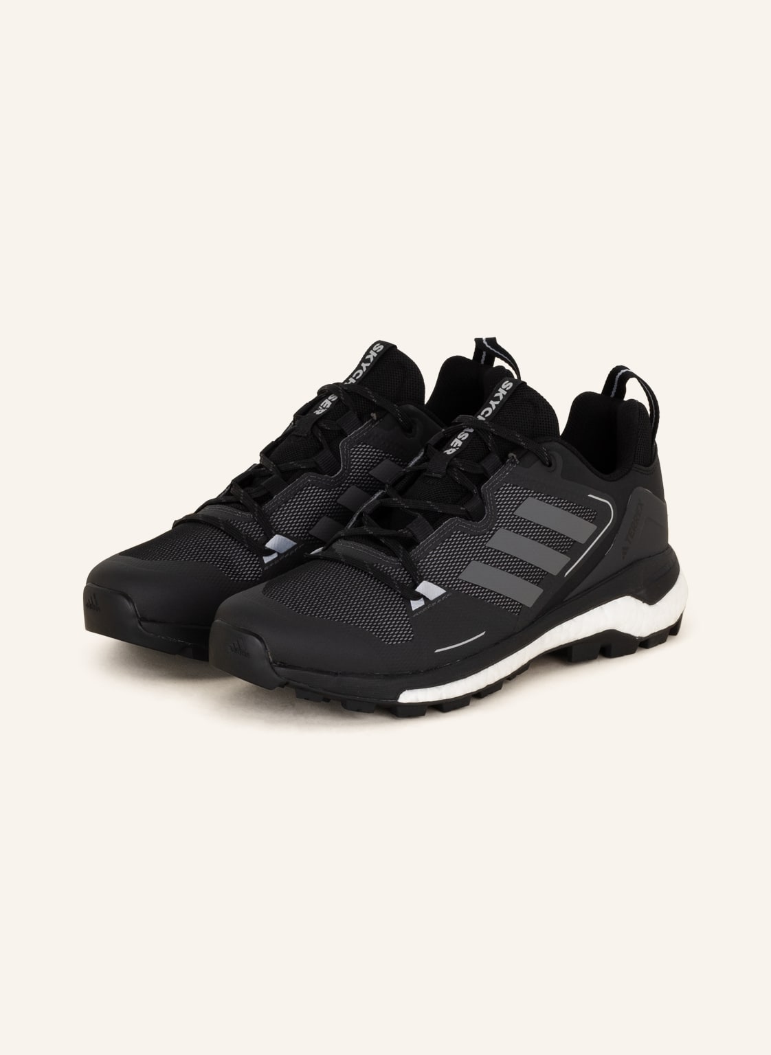 Image of Adidas Multifunktionsschuhe Terrex Skychaser 2 schwarz