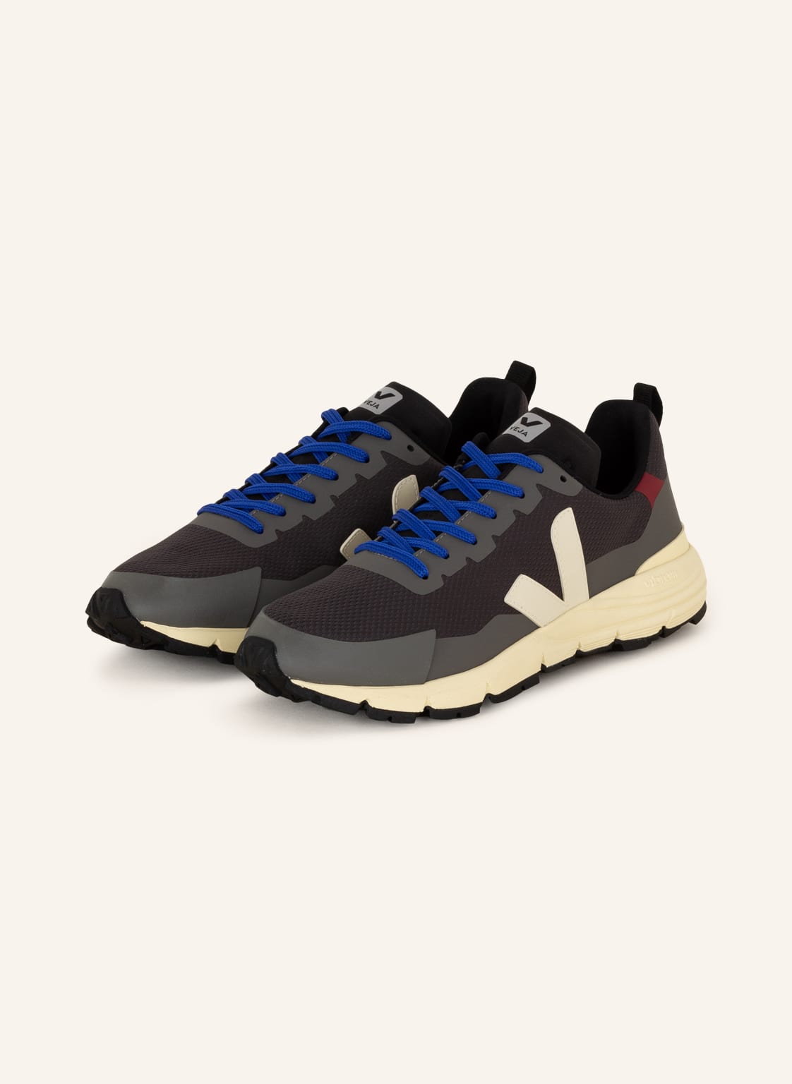 Image of Veja Sneaker Dekkan Alveomesh grau