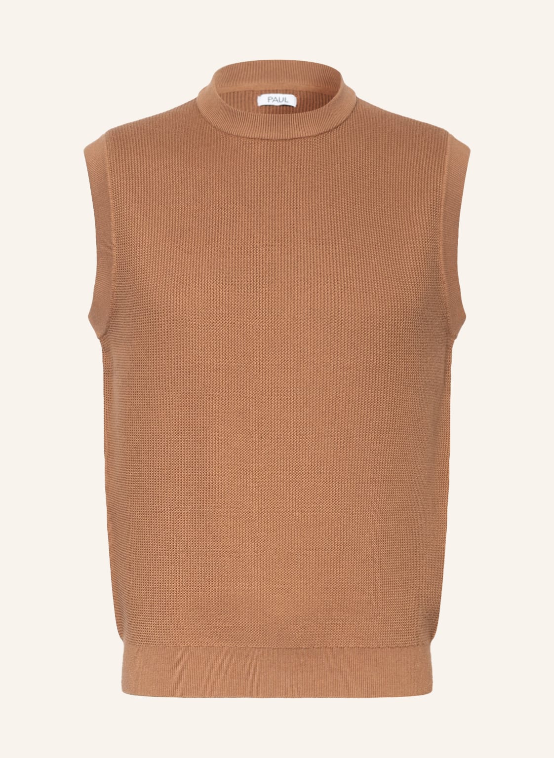 Image of Paul Pullunder braun