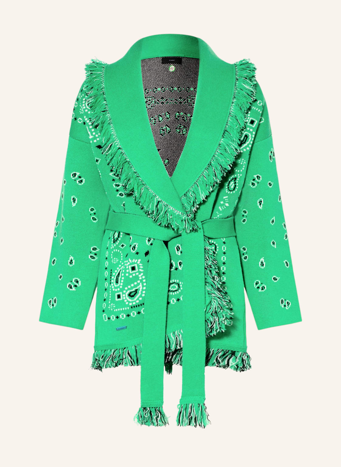 Image of Alanui Strickhülle Green Flash Aus Cashmere gruen