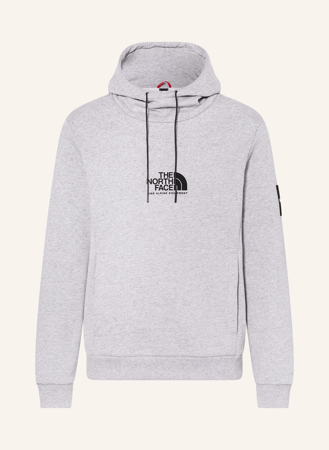 Image of The North Face Hoodie Fine Alpine grau