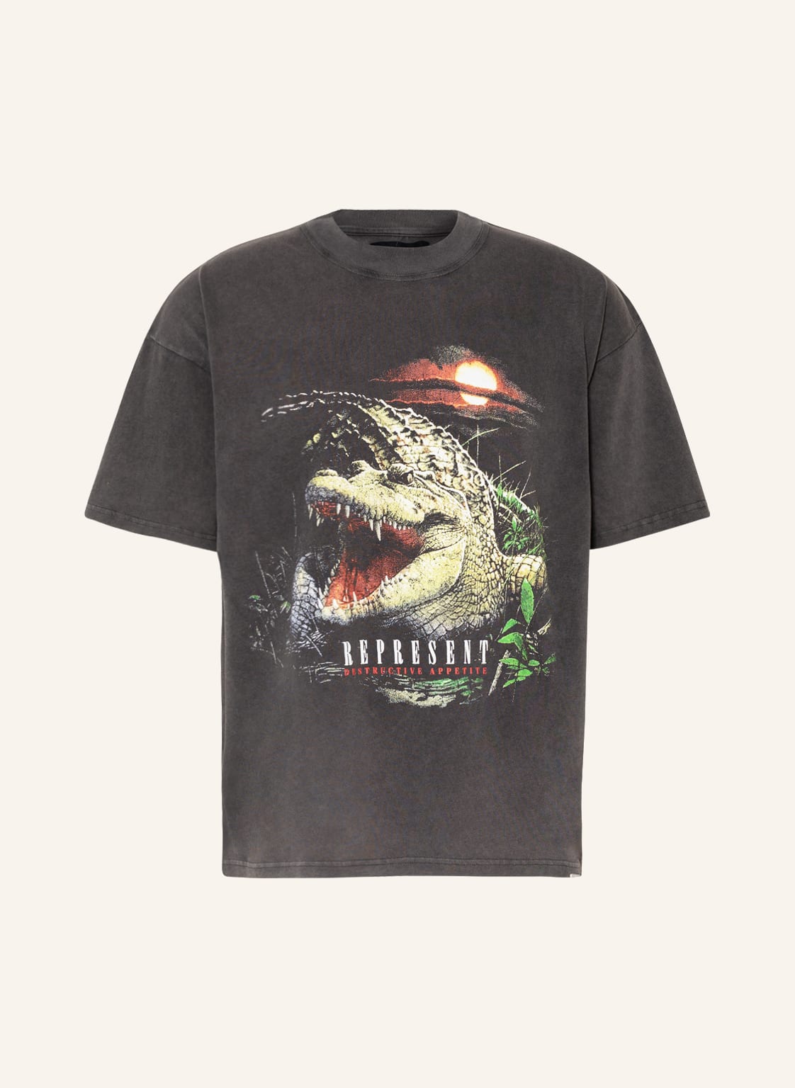 Image of Represent T-Shirt grau