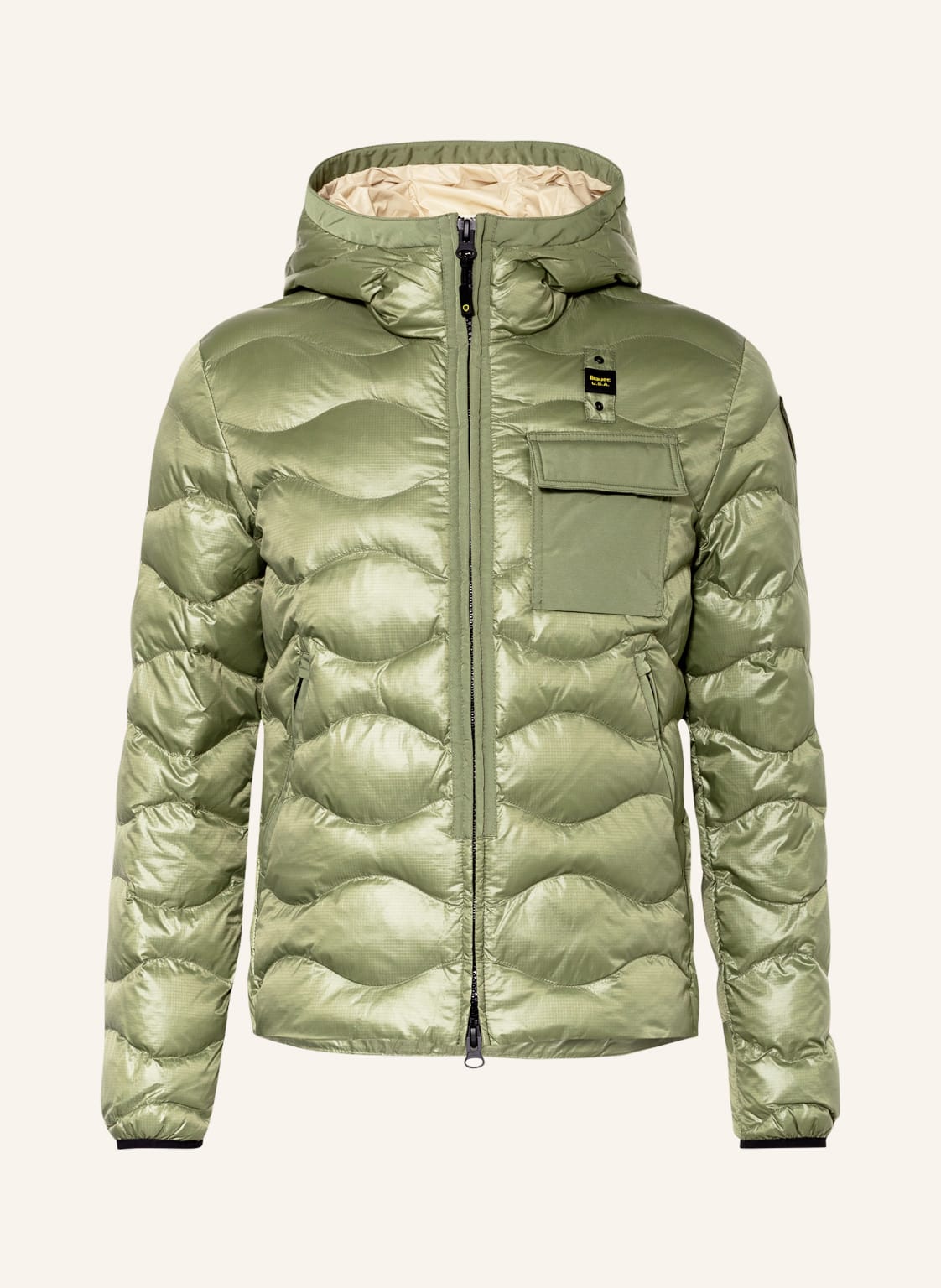 Image of Blauer Steppjacke gruen