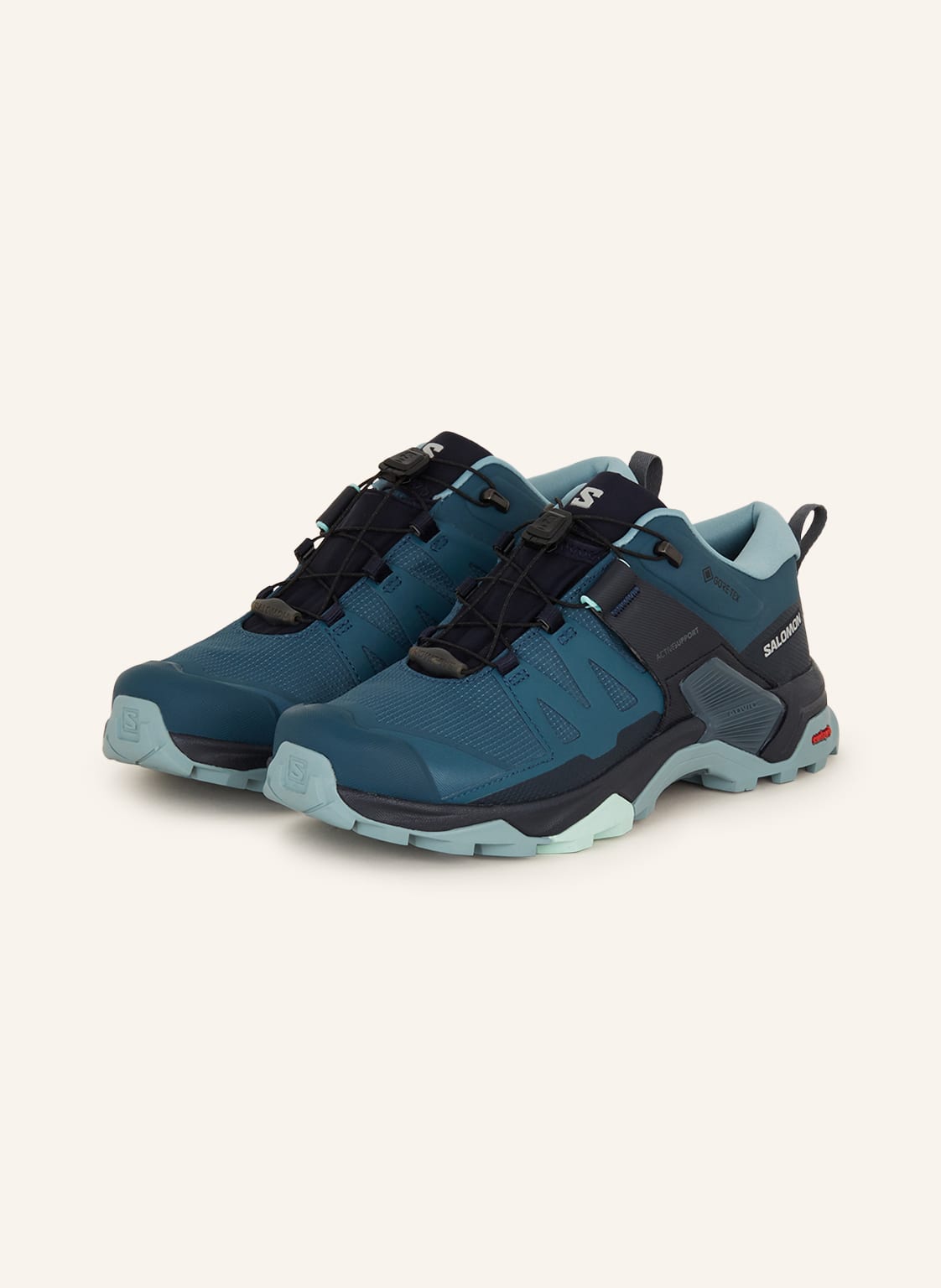 Image of Salomon Multifunktionsschuhe X Ultra 4 Gtx blau