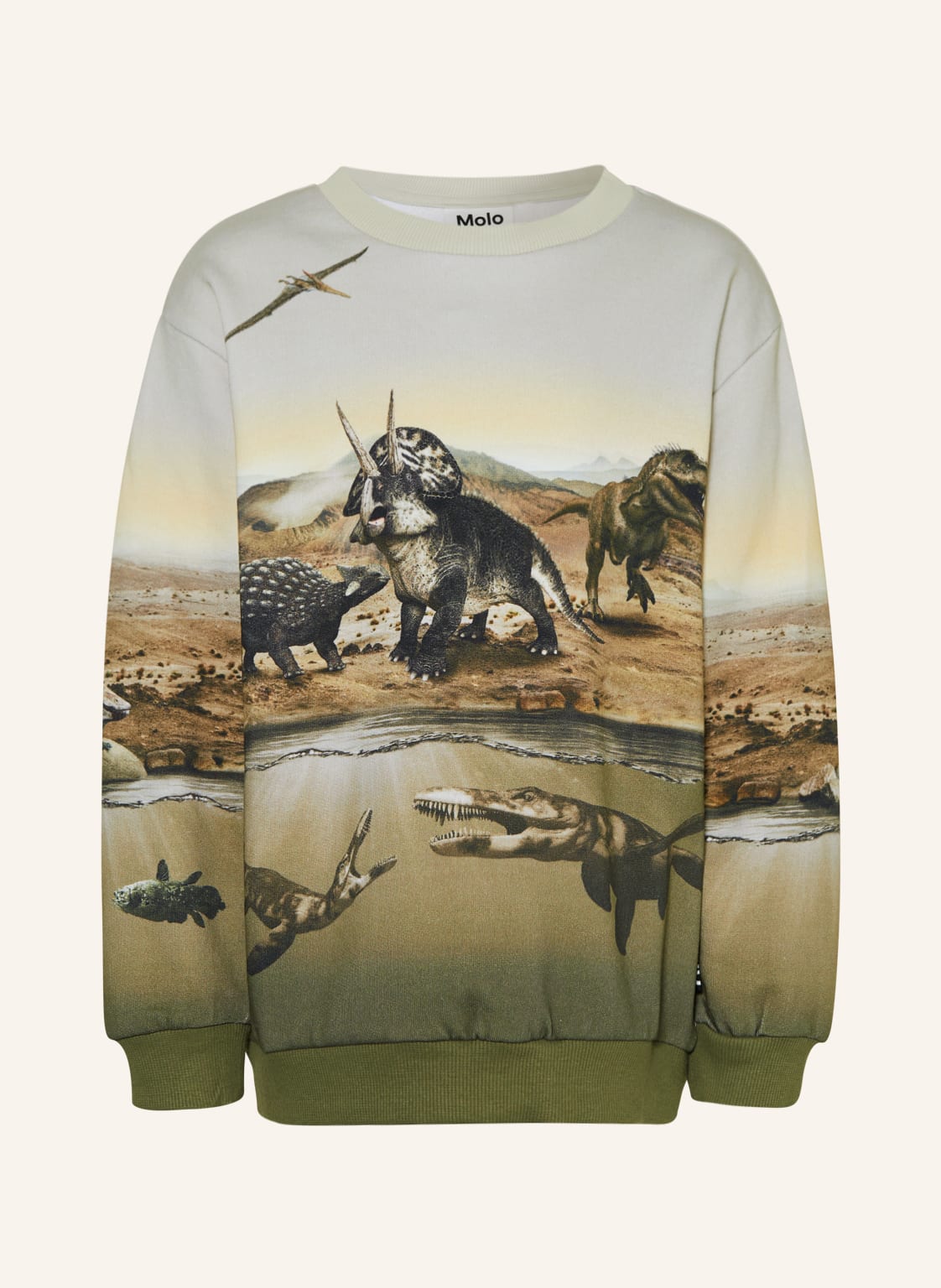 Image of Molo Sweatshirt blau