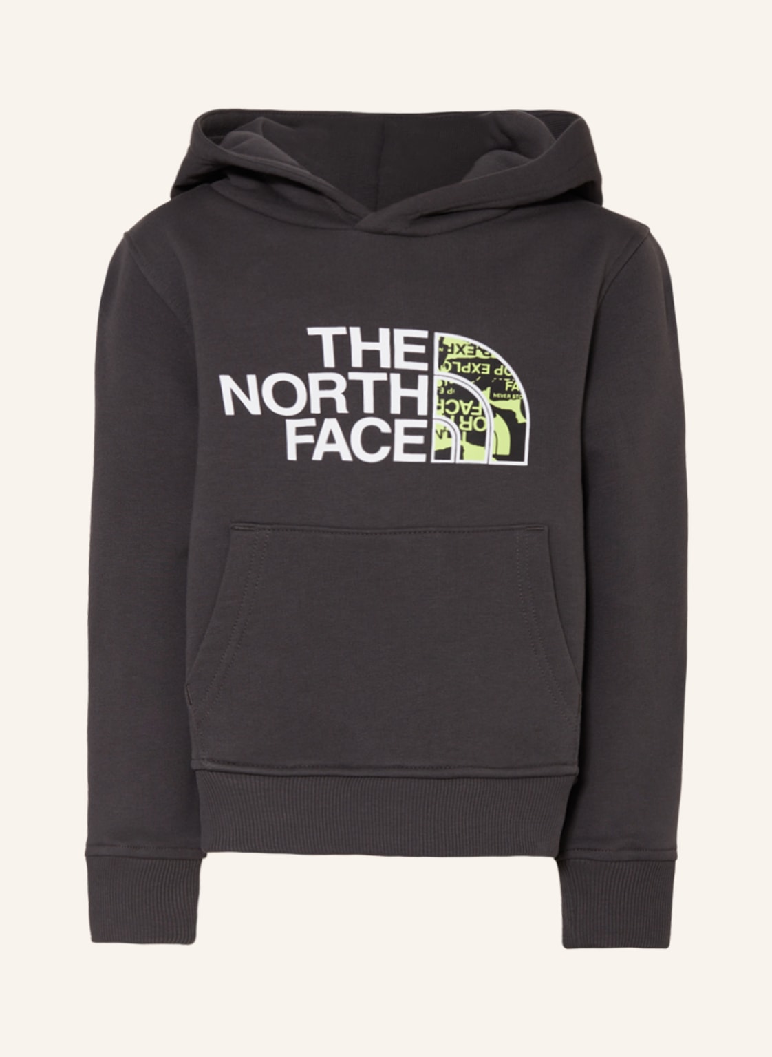 Image of The North Face Hoodie grau
