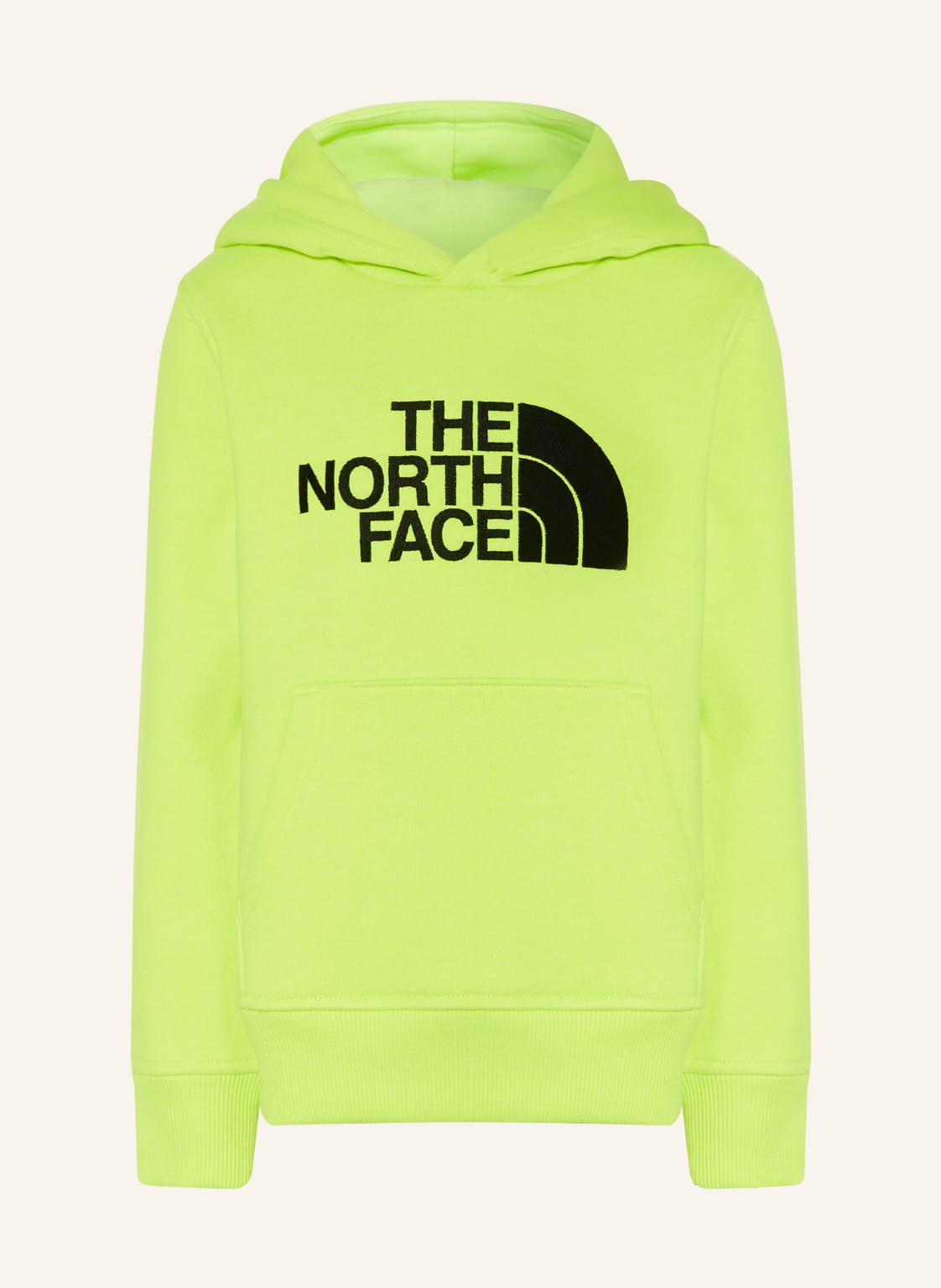 Image of The North Face Hoodie gruen
