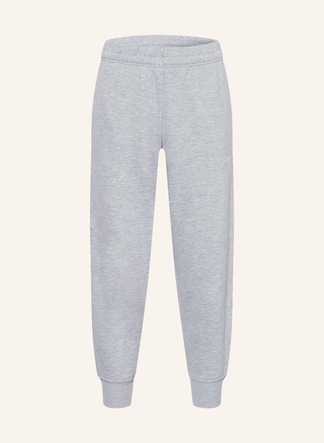 Image of The North Face Sweatpants grau