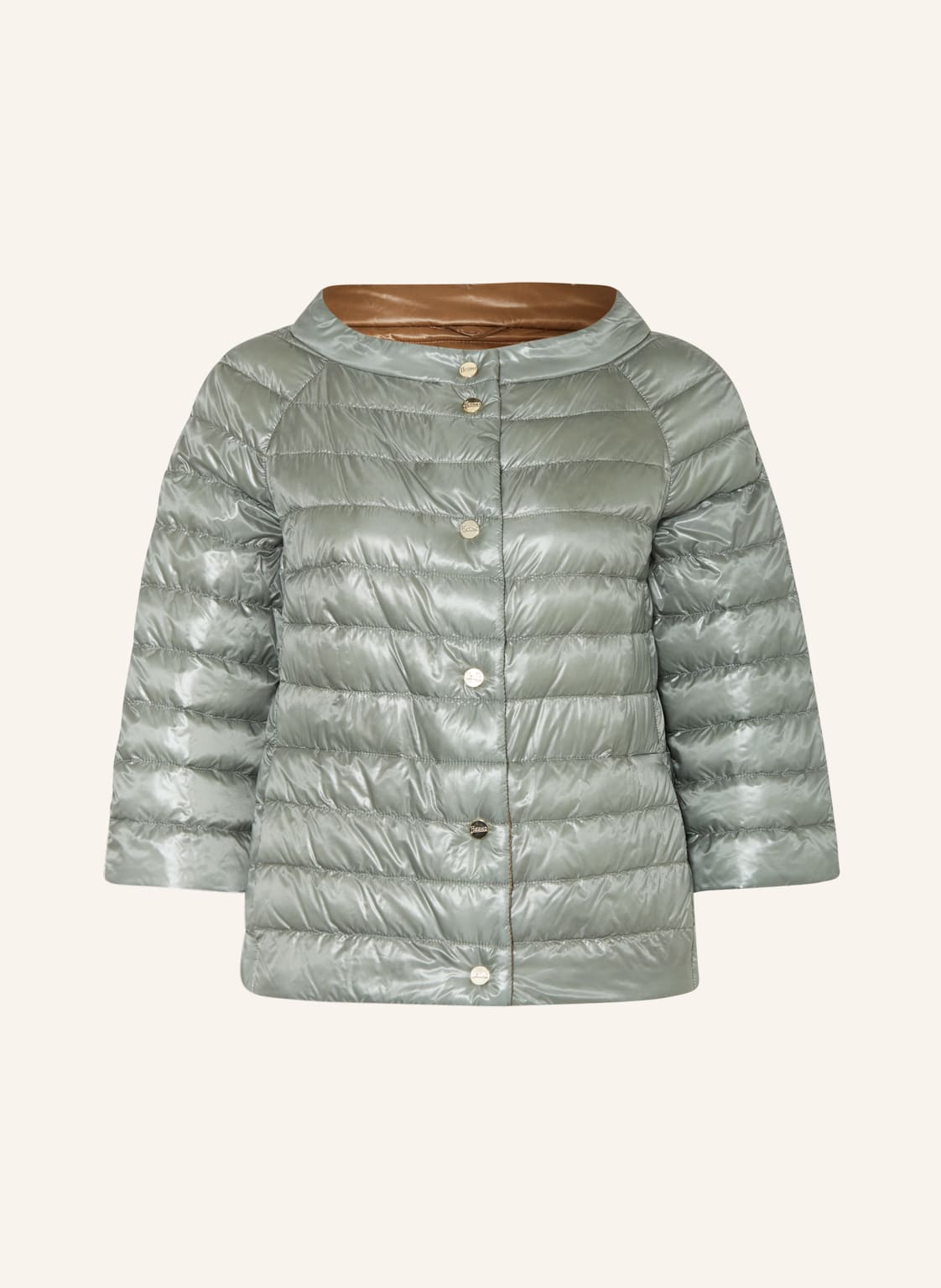 Image of Herno Daunenjacke grau