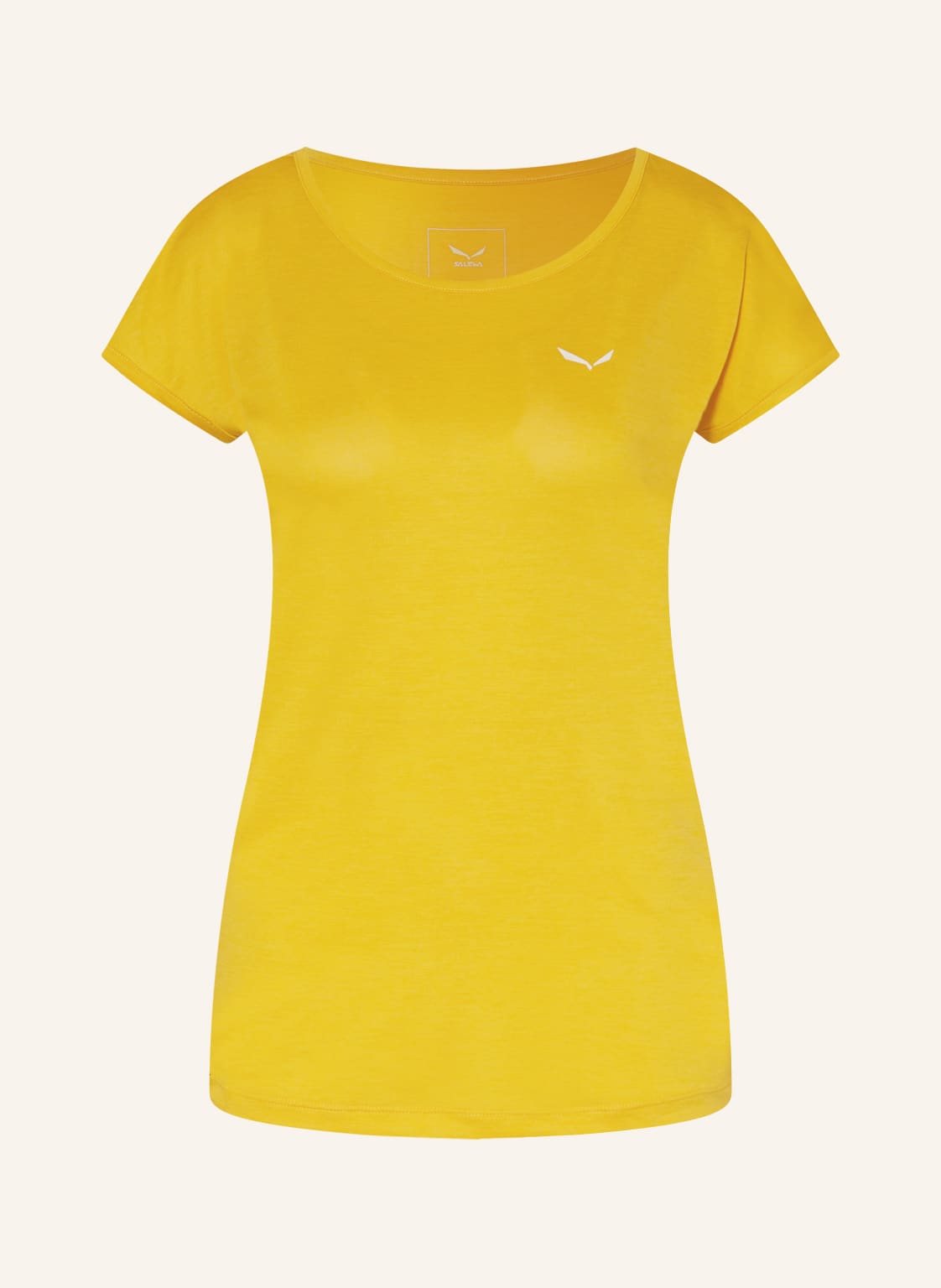 Image of Salewa T-Shirt Puez Melange Dry'ton gelb