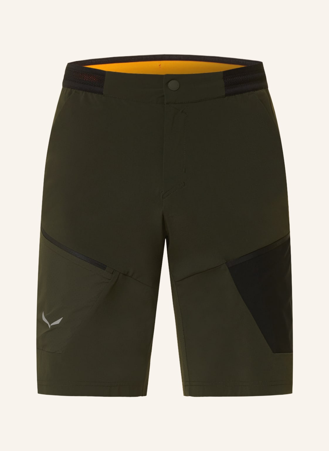 Image of Salewa Trekkingshorts Pedroc gruen