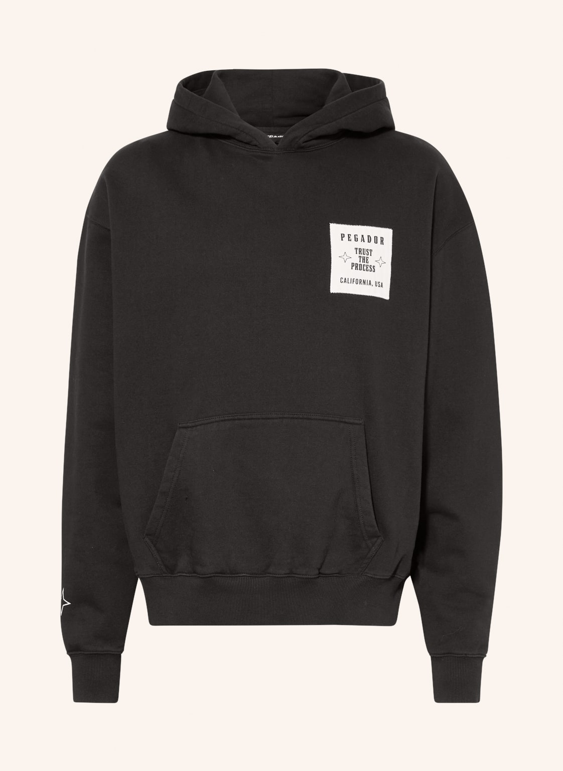 Image of Pegador Oversized-Hoodie Salal schwarz
