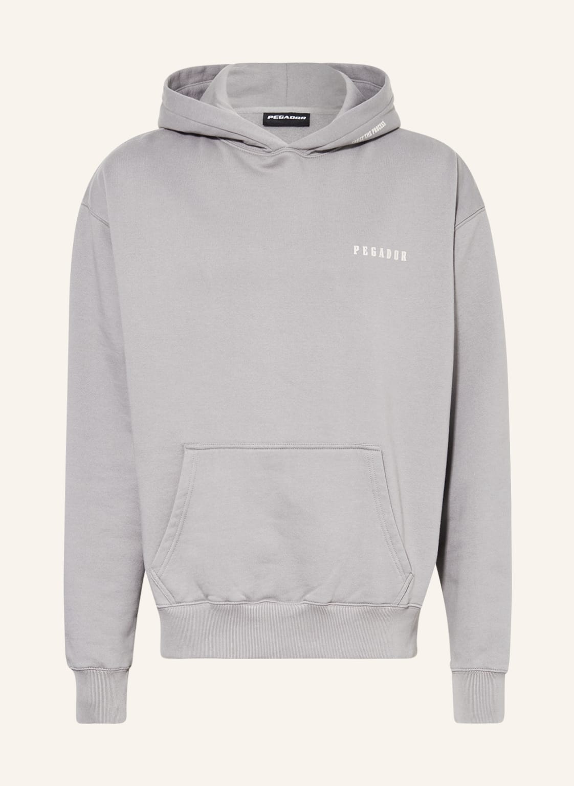 Image of Pegador Oversized-Hoodie Dimmont grau