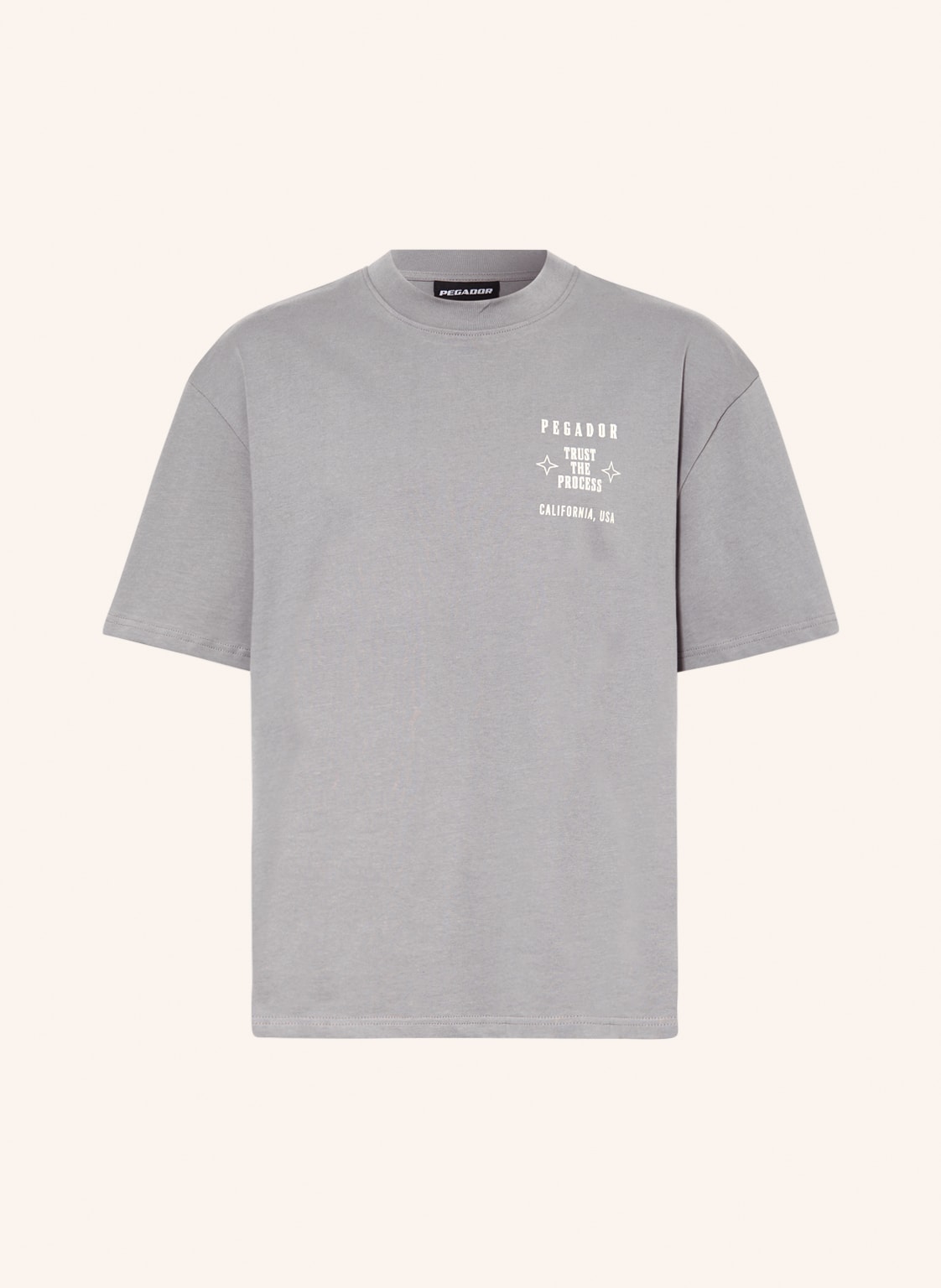 Image of Pegador Oversized-Shirt Sala grau