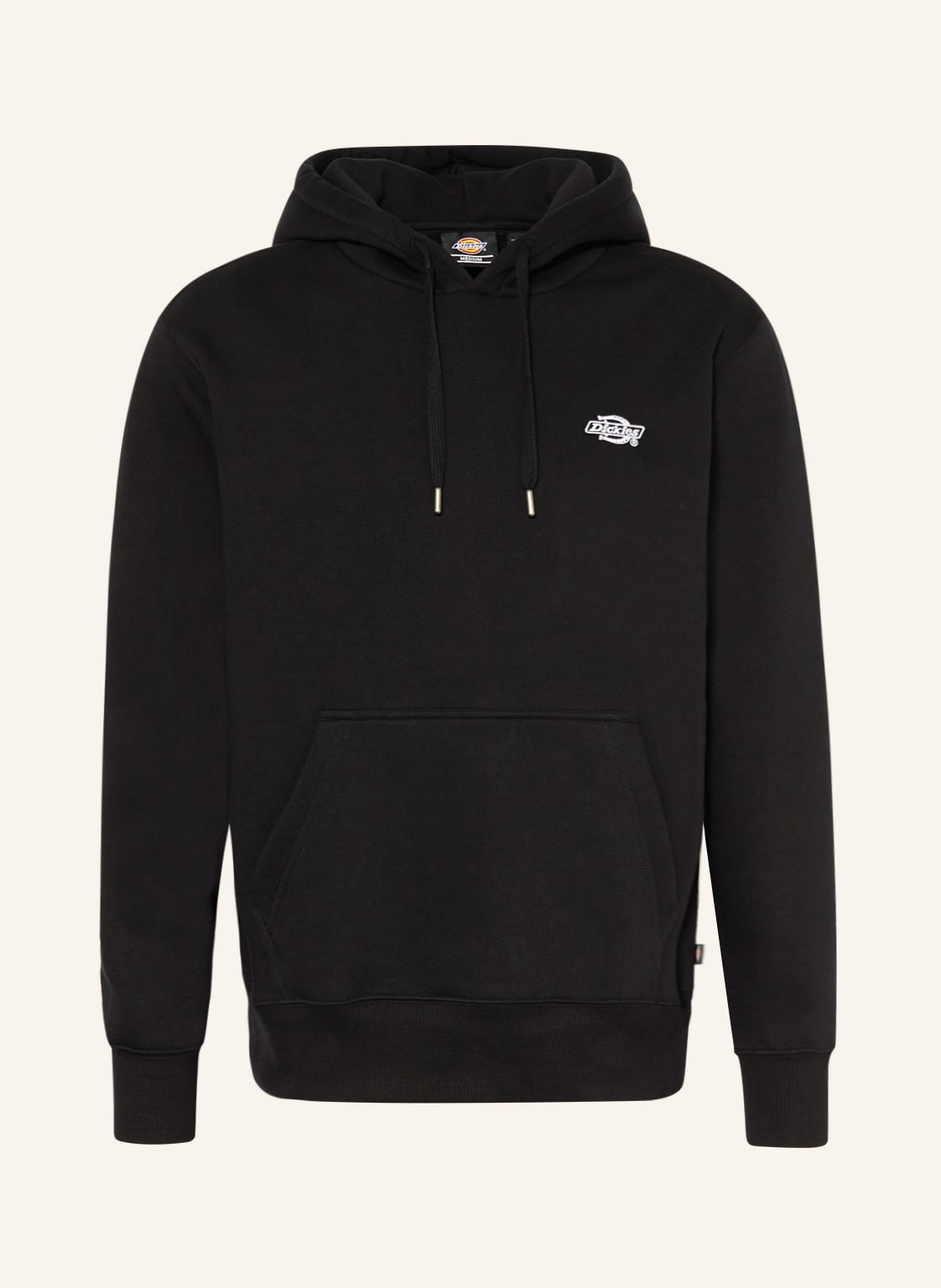 Image of Dickies Hoodie Summerdale schwarz
