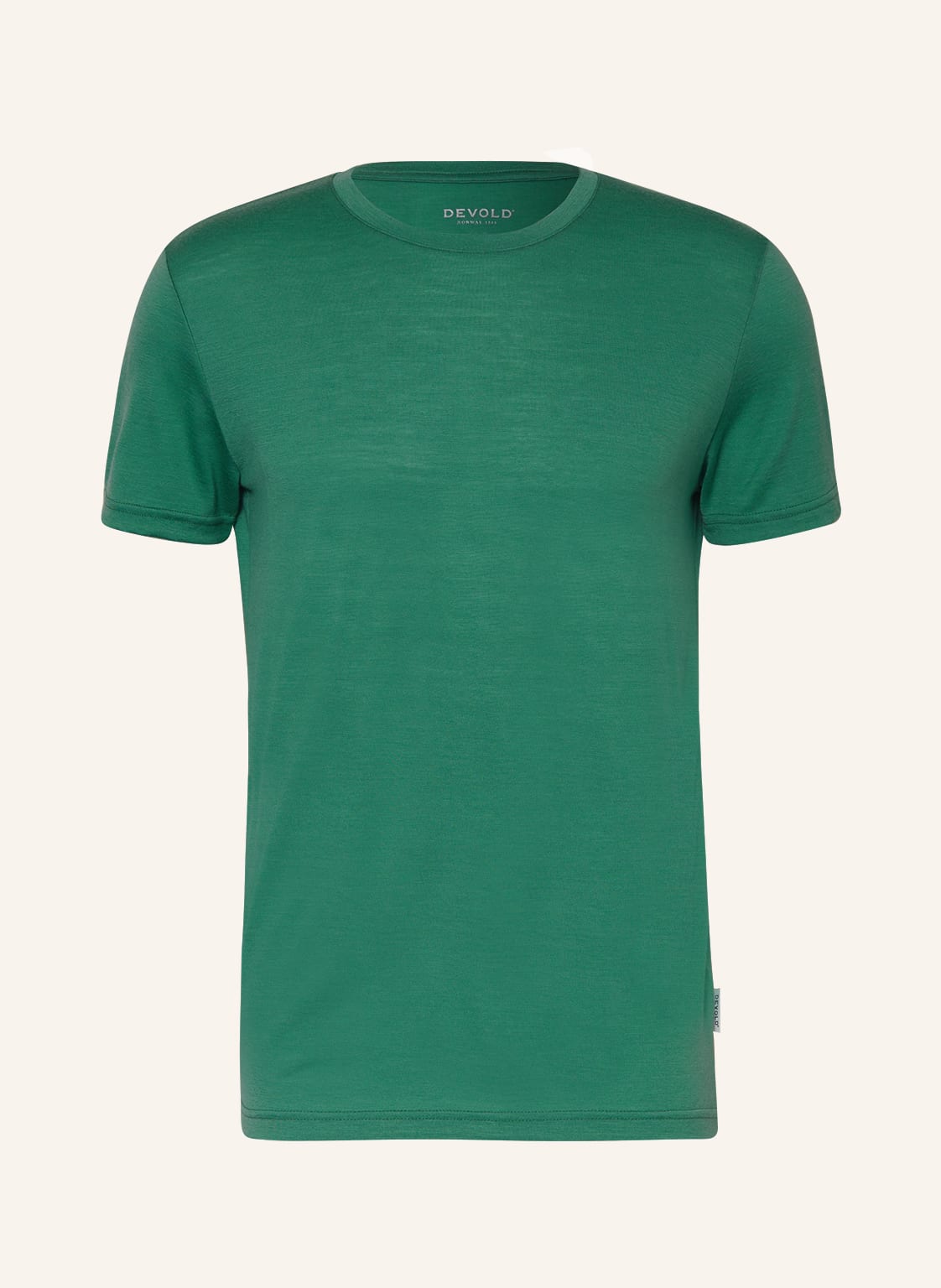 Image of Devold T-Shirt Eika Merino 150 gruen