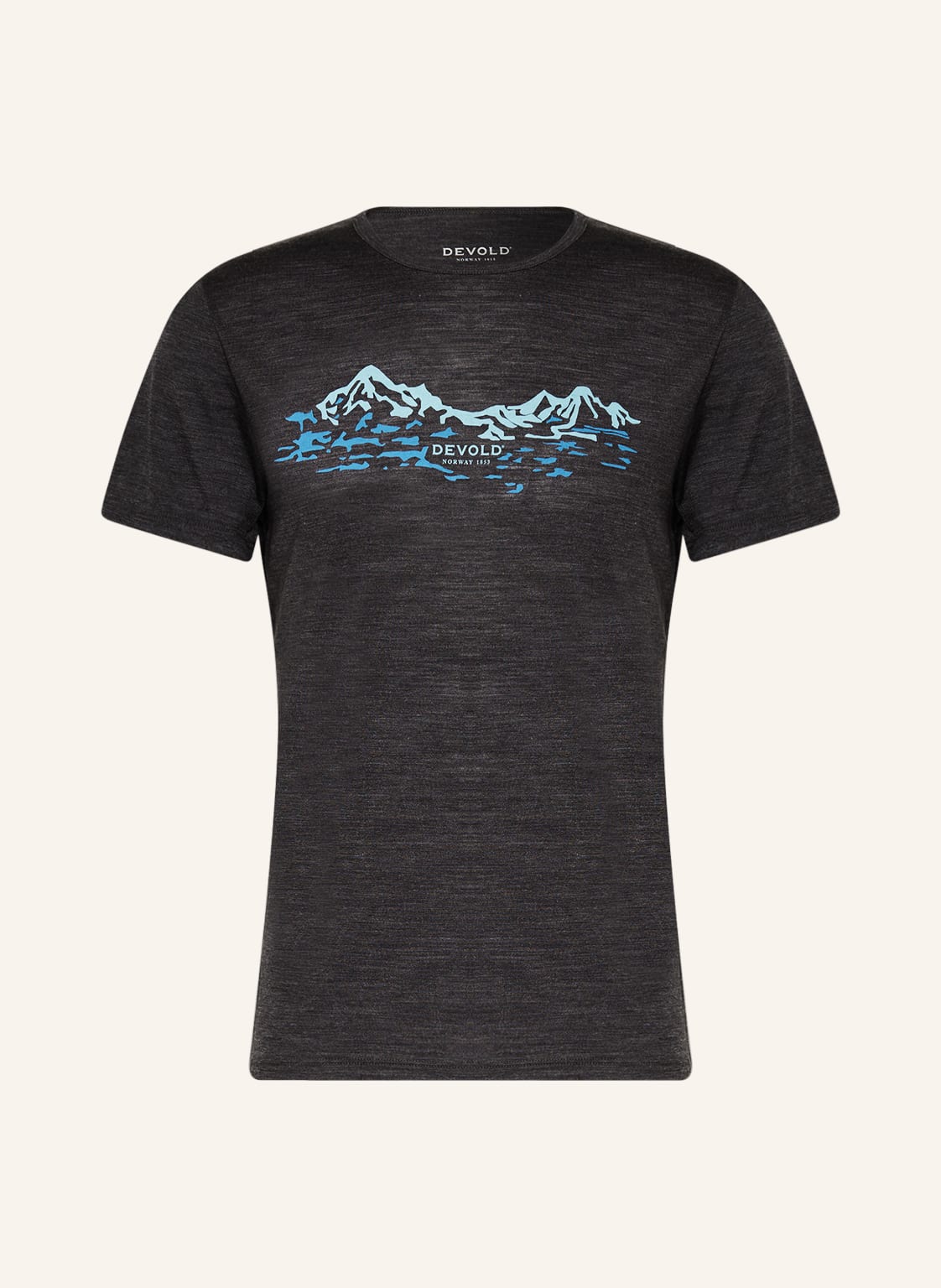 Image of Devold T-Shirt Utladalen Aus Merinowolle grau