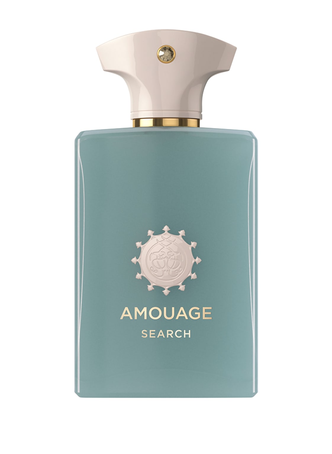 Image of Amouage Search Eau de Parfum 100 ml