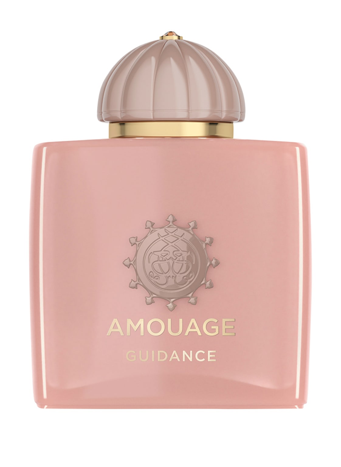 Image of Amouage Guidance Eau de Parfum 100 ml