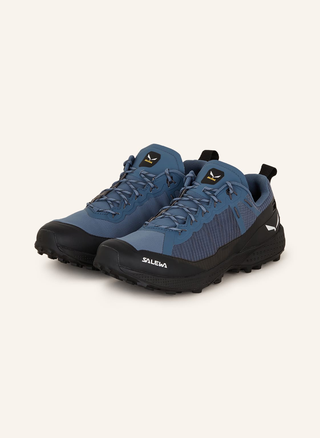Image of Salewa Multifunktionsschuh Pedroc Ptx blau