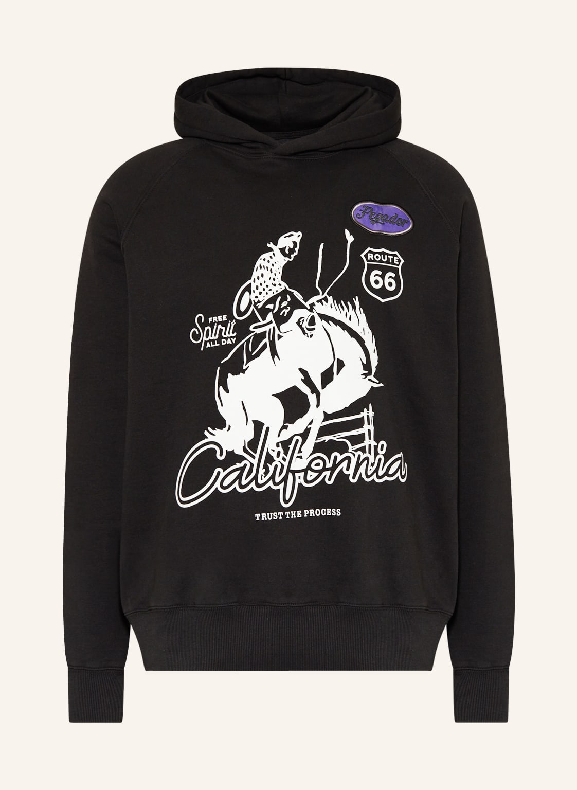 Image of Pegador Hoodie Shorville schwarz