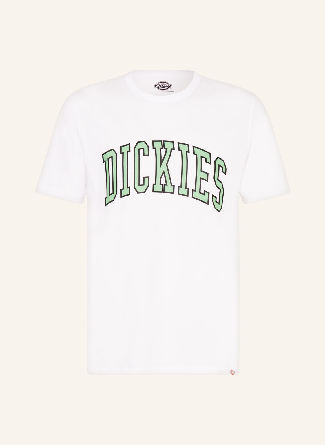 Image of Dickies T-Shirt Aitkin weiss