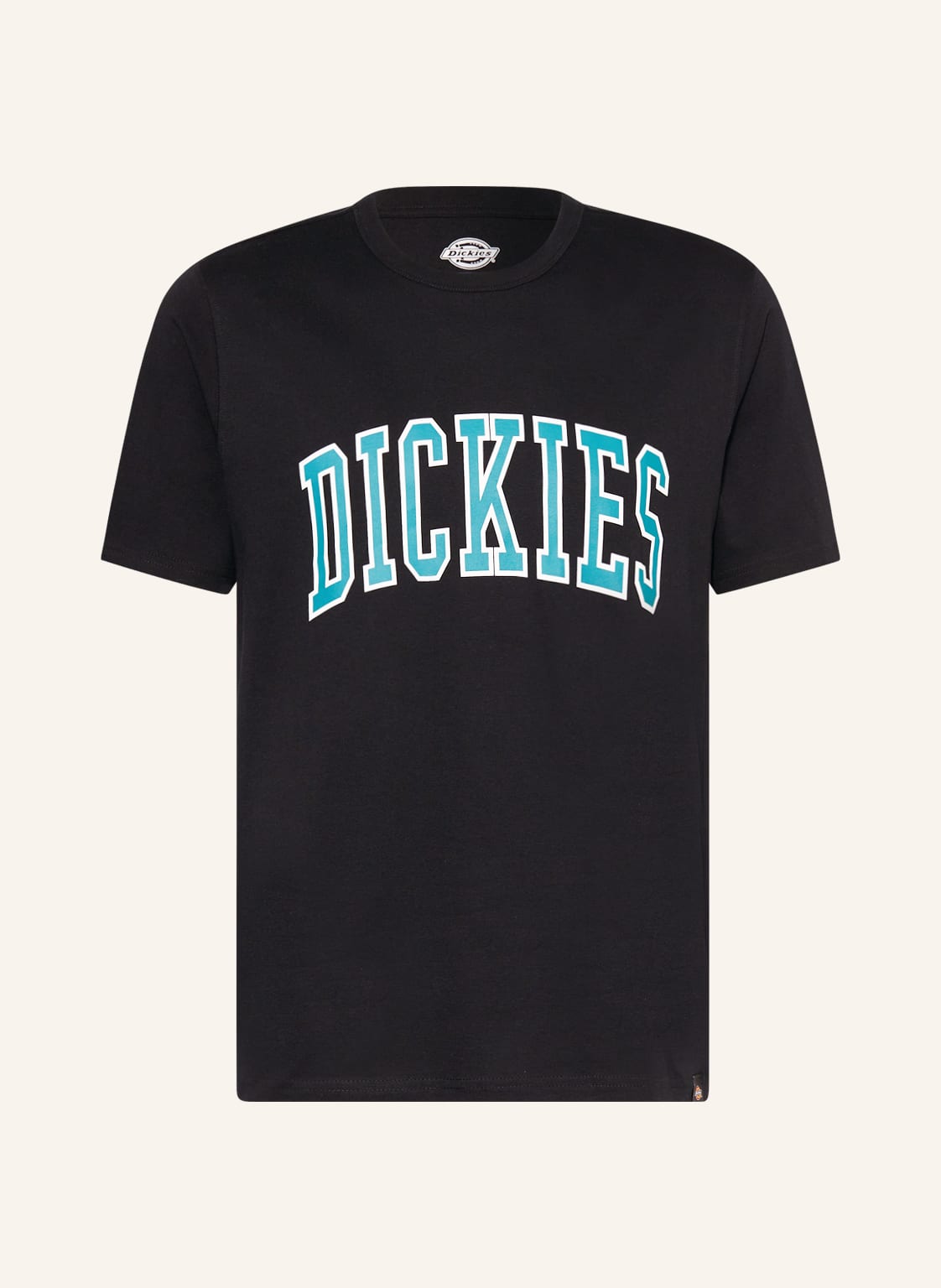 Image of Dickies T-Shirt Aitkin schwarz