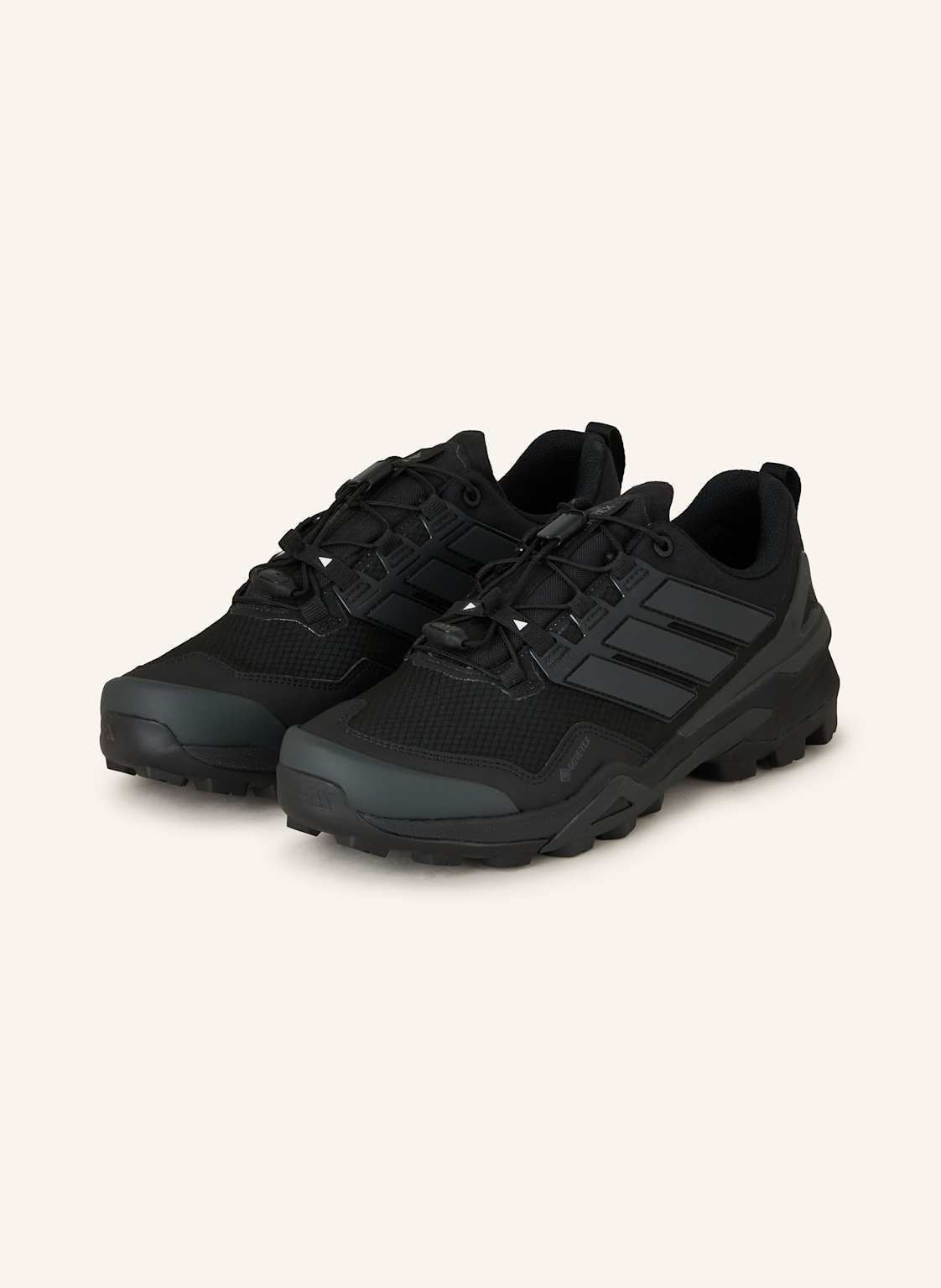 Produktový obrázek adidas Terrex Adidas Terrex Turistické Boty Terrex Skychaser Gtx černá