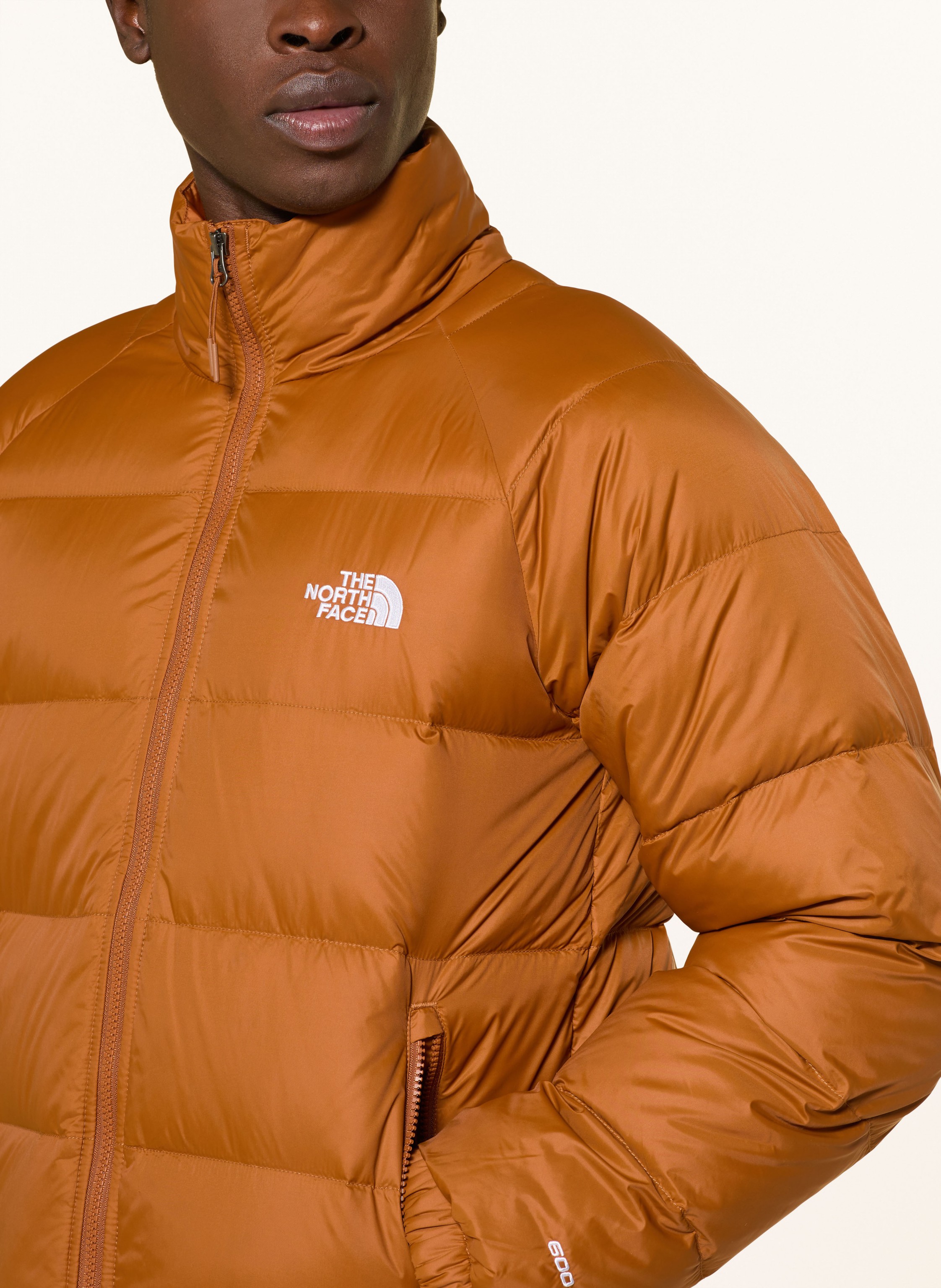 Thumbnail - The North Face Daunenjacke Hydrenalite braun