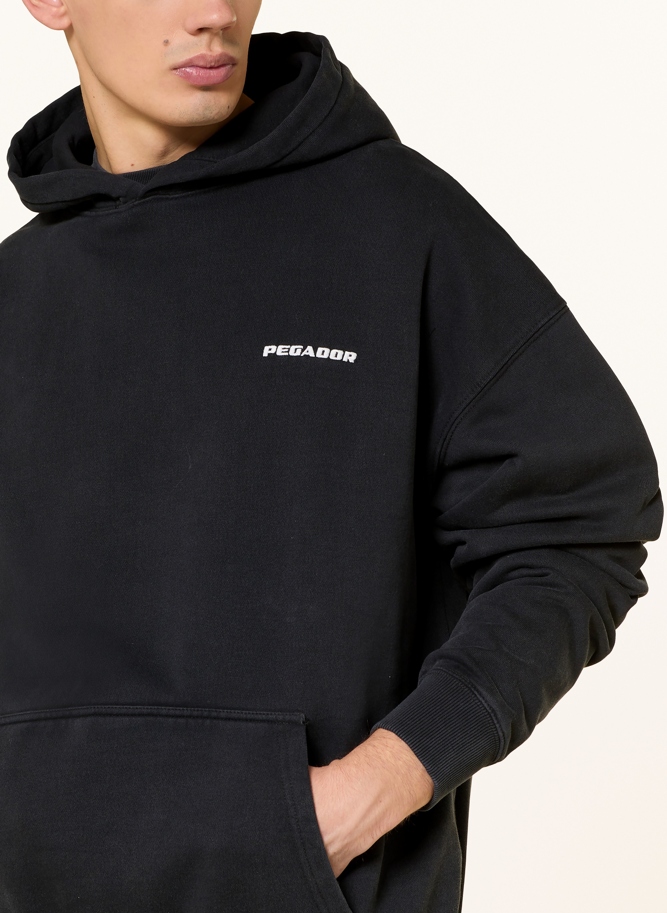 Thumbnail - Pegador Hoodie schwarz