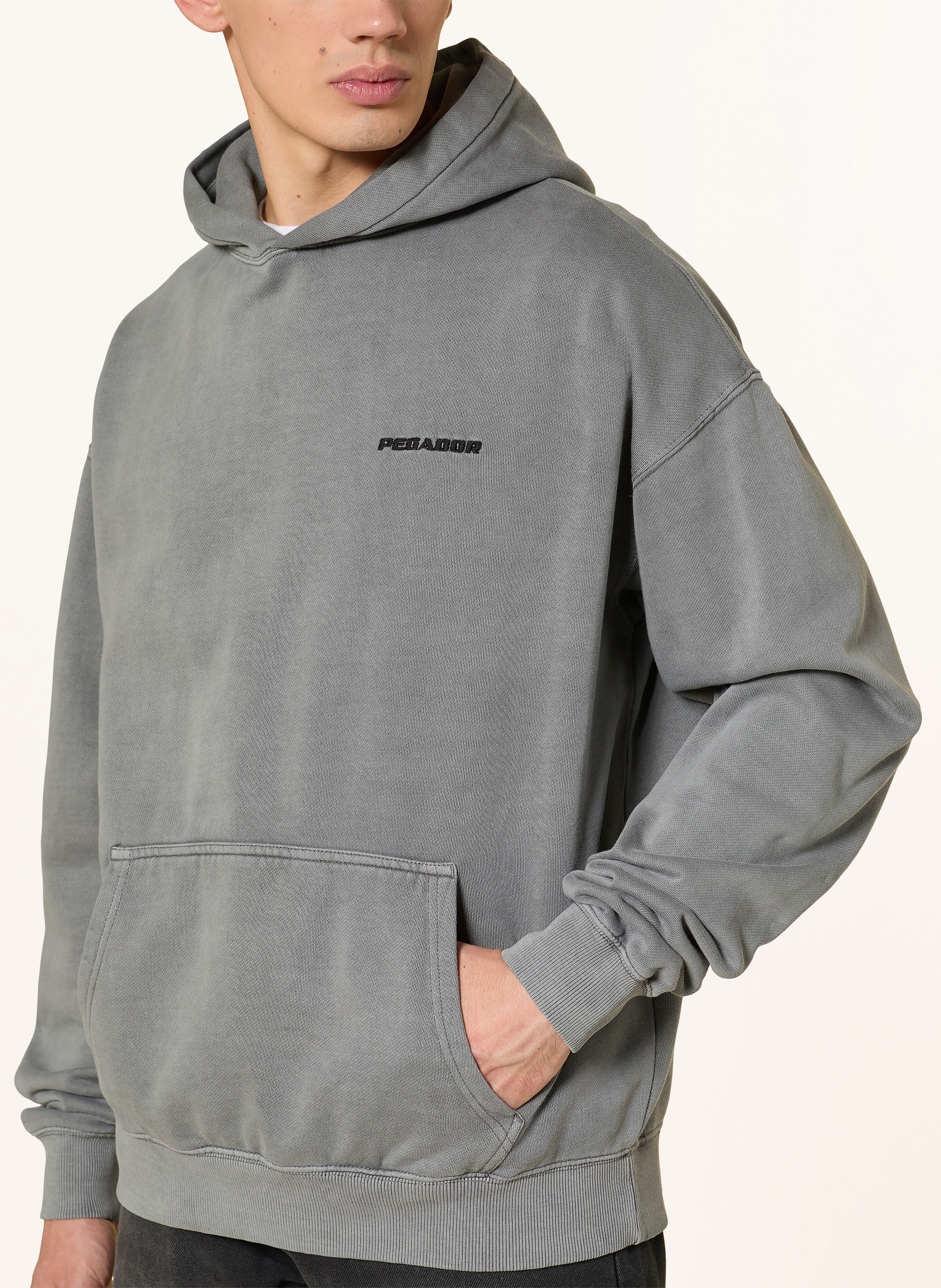 Thumbnail - Pegador Hoodie grau