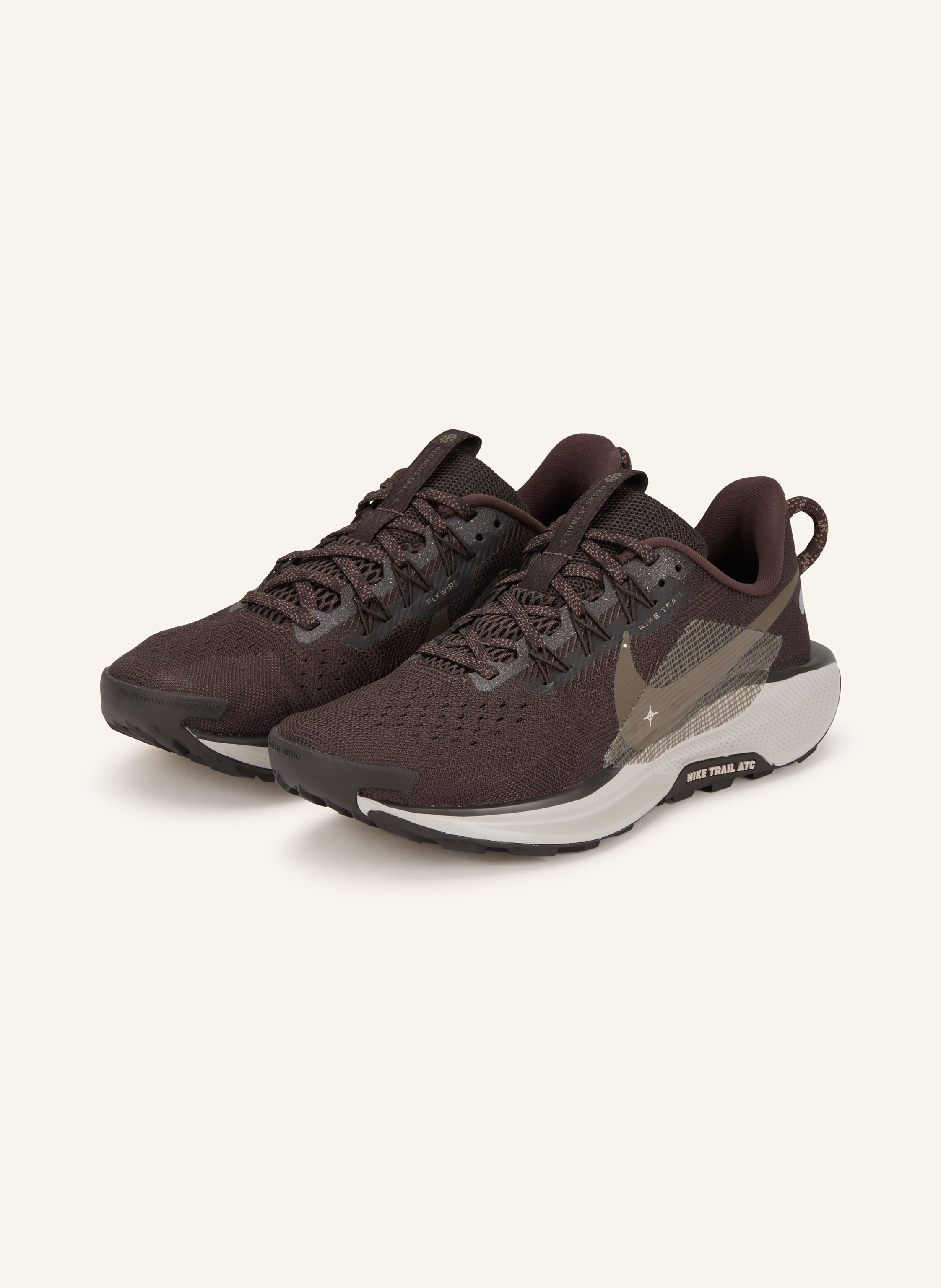 Nike Pegasus Trail Sneaker
