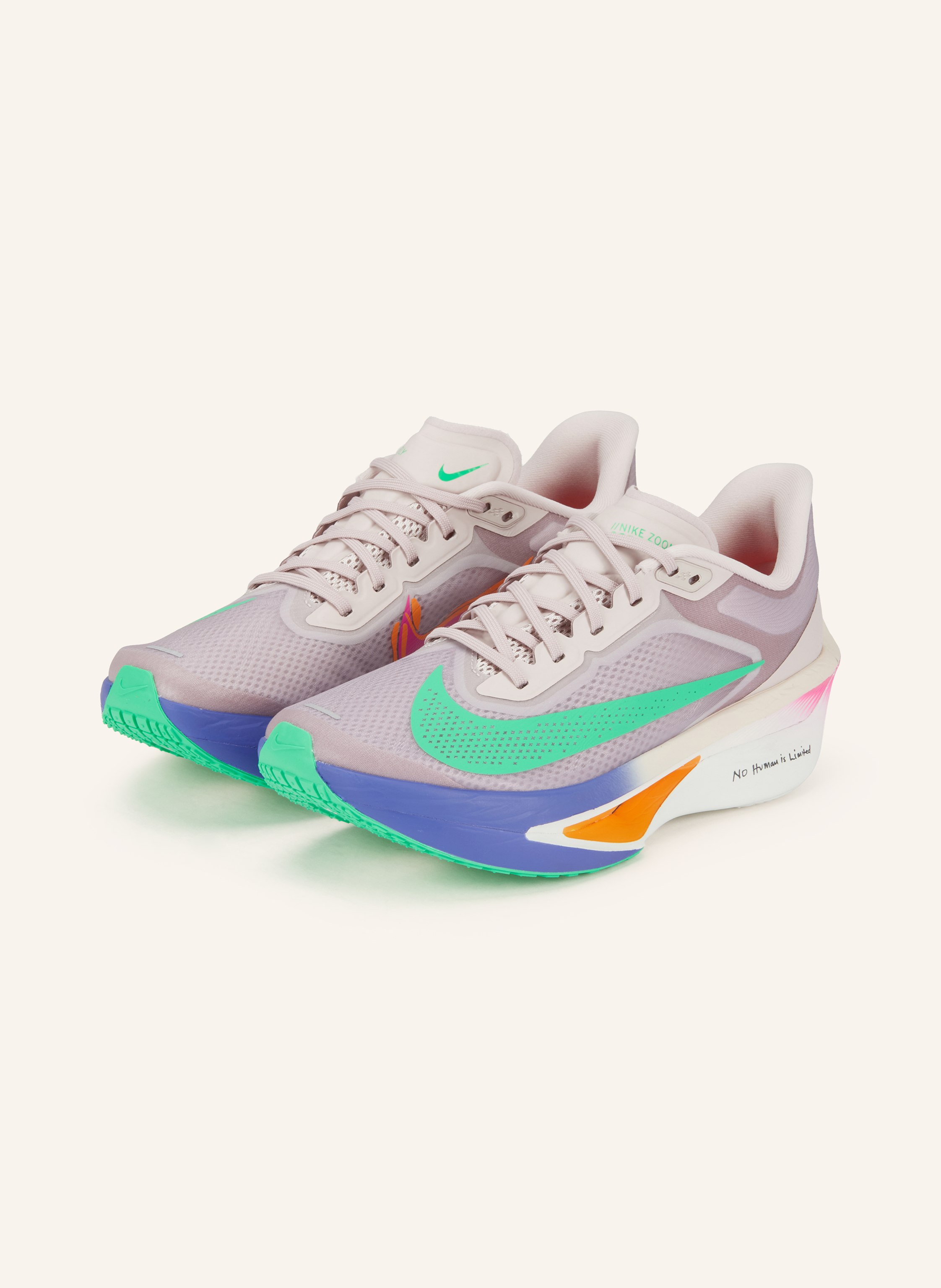 Nike Laufschuhe Zoom Fly 6 Eliud Kipchoge rot