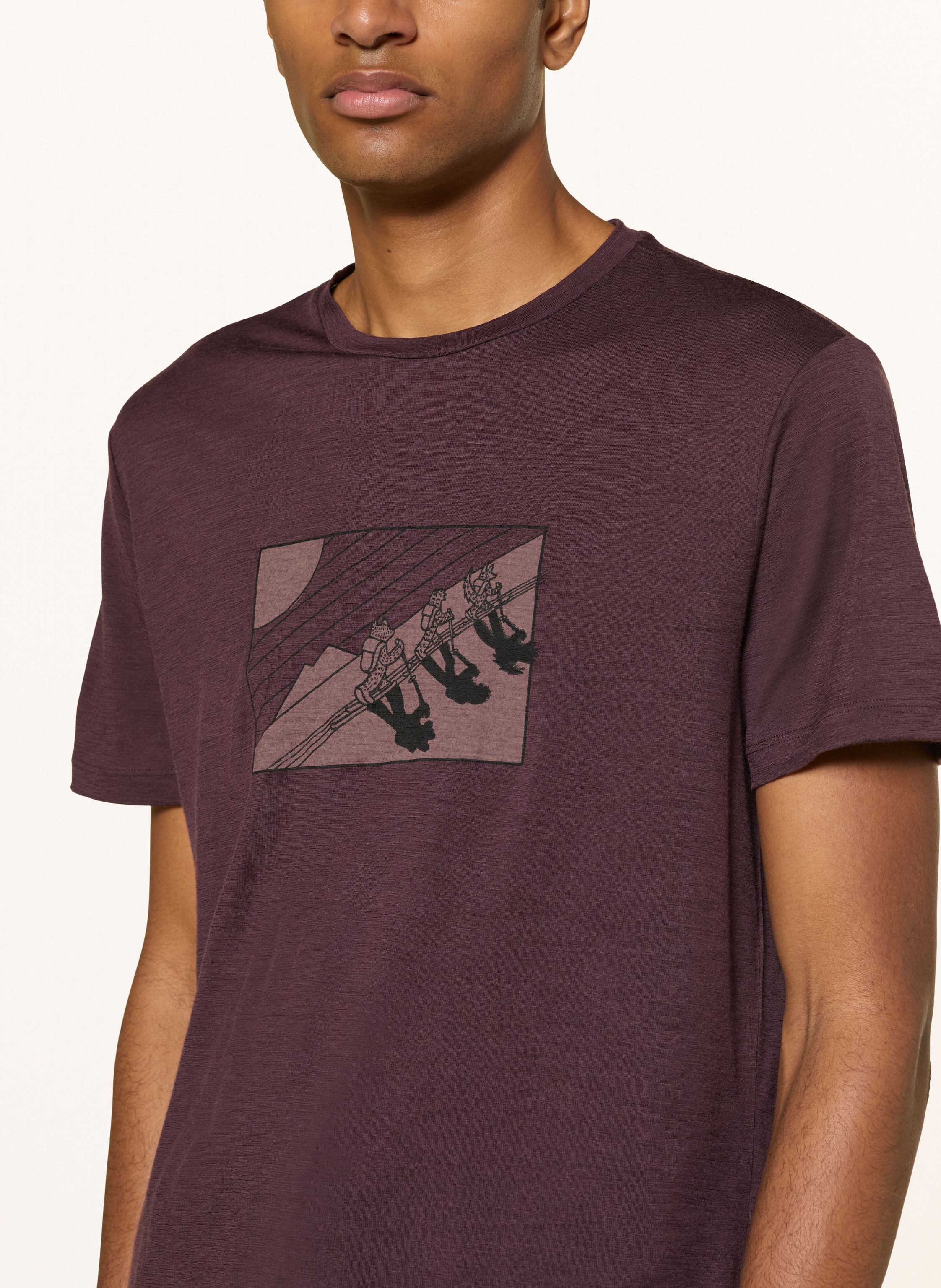 Thumbnail - Icebreaker T-Shirt Aus Merinowolle rot