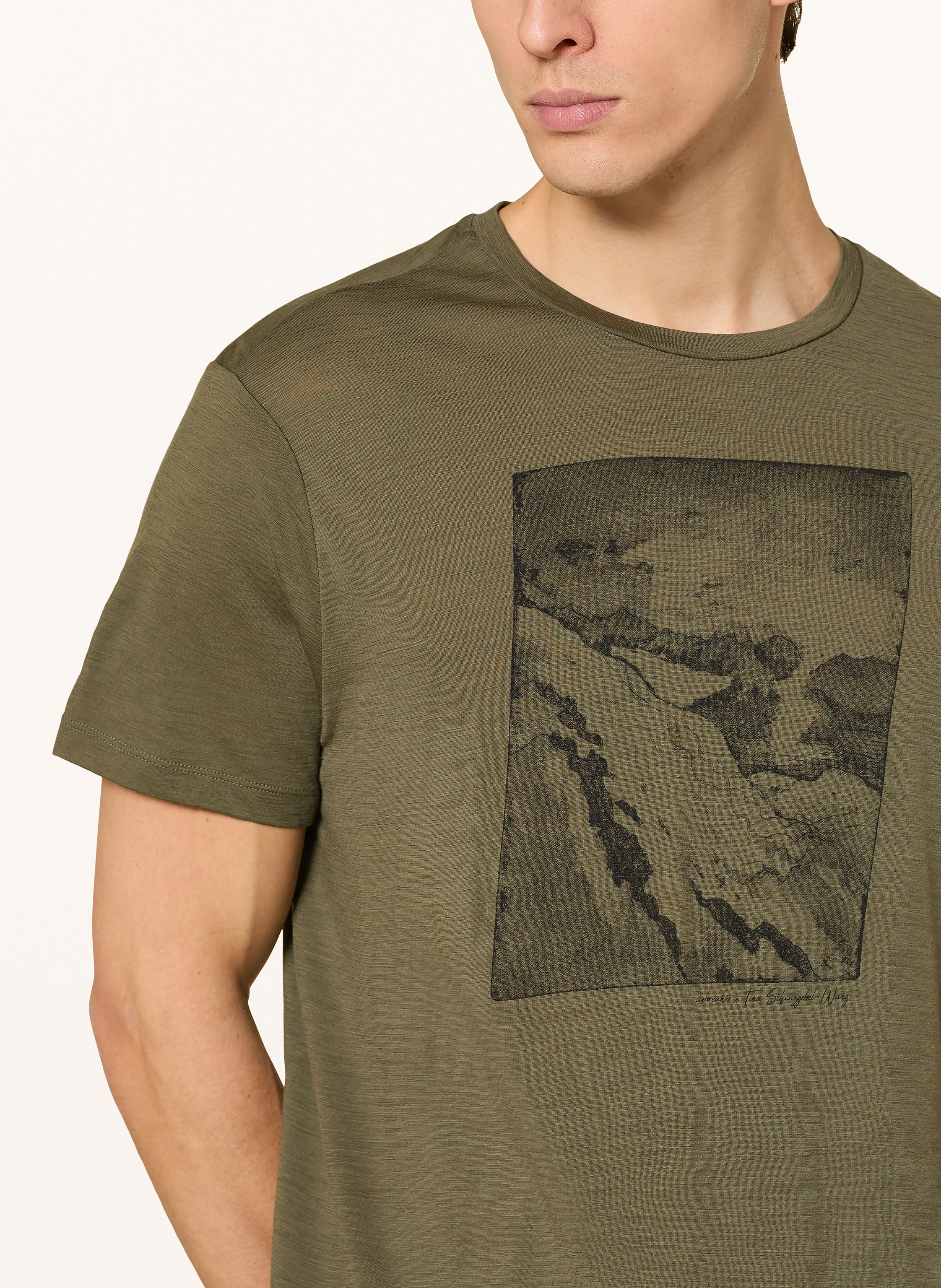 Thumbnail - Icebreaker T-Shirt Mit Merinowolle gruen