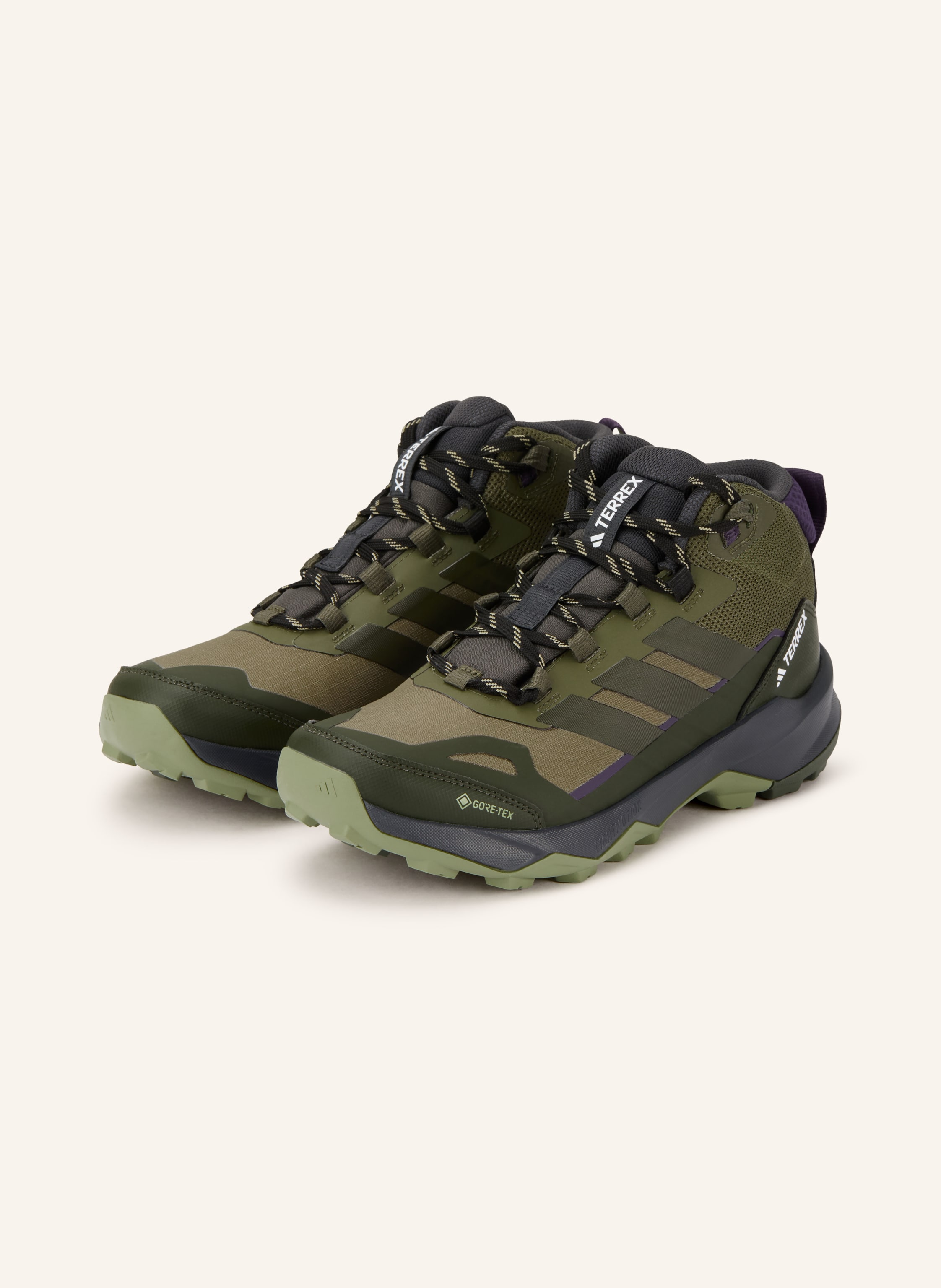 Adidas Terrex Wanderschuhe Terrex Skychaser ax5 Mid Gtx gruen